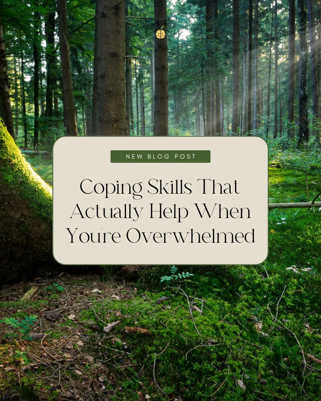 &ldquo;Take a walk&rdquo; isn&rsquo;t always enough when you&rsquo;re feeling overwhelmed! In our newest blog post, we share coping skills that can actually help when your mind feels overloaded. Read more at the link in bio 💛