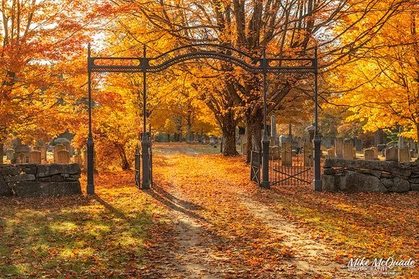 Meetinghouse Cemetery Gate