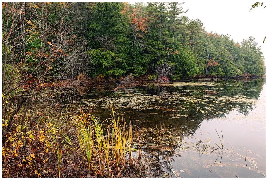 Colors of Early Winter