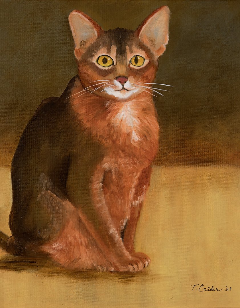 Seated Cat