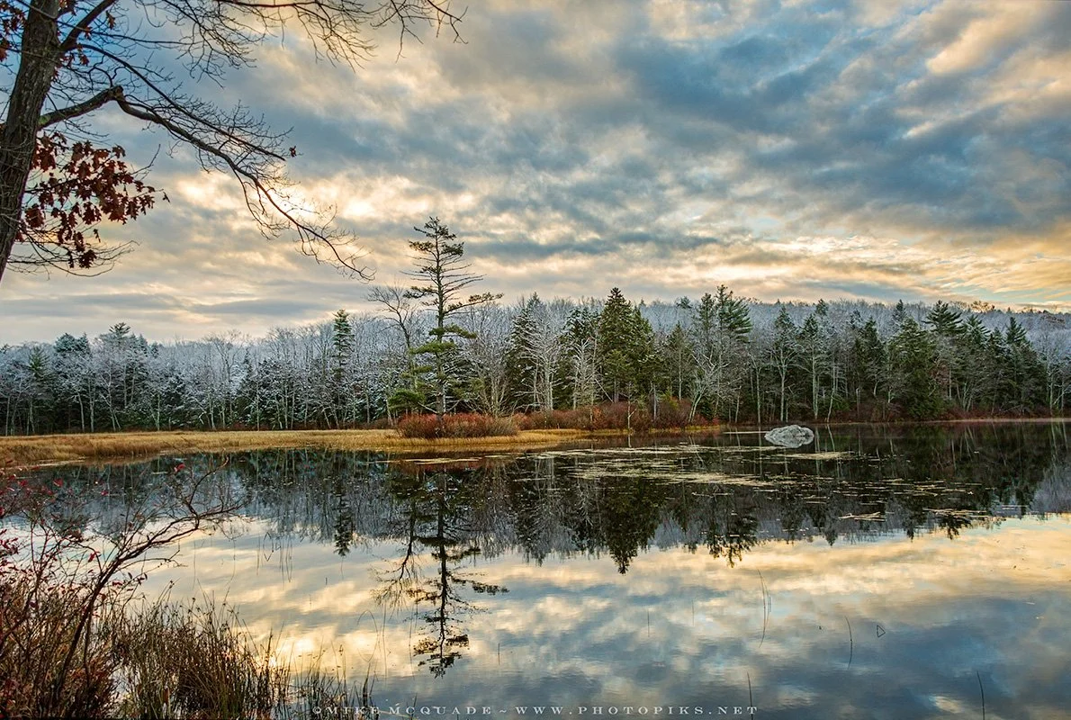 Winter's First Strike