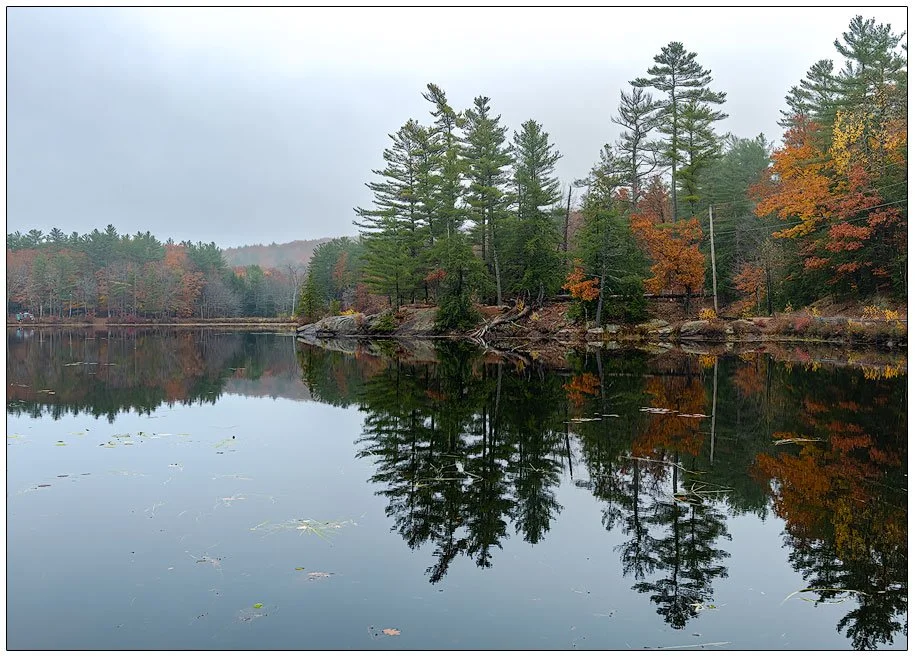 Meadow Pond in Autumn Mist