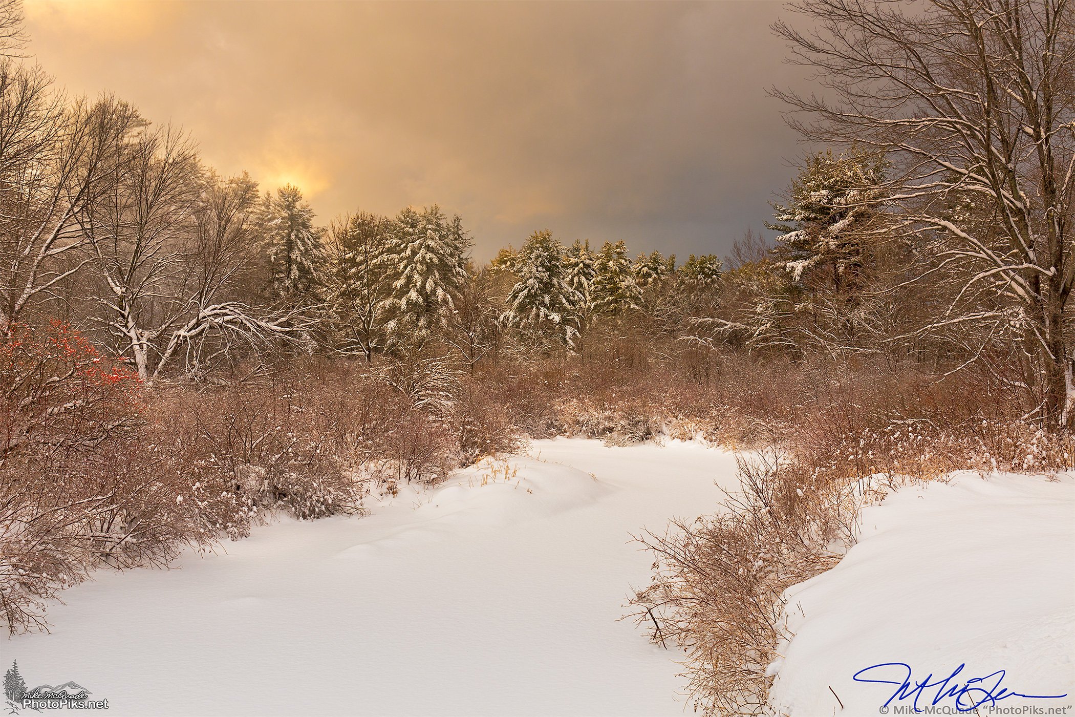 Snow in Nighthawk Hollow
