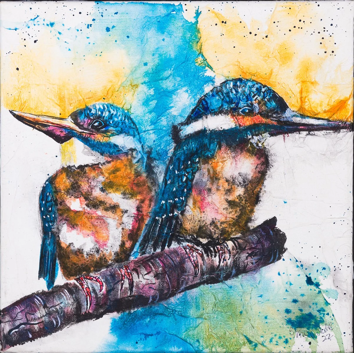 KIngfishers