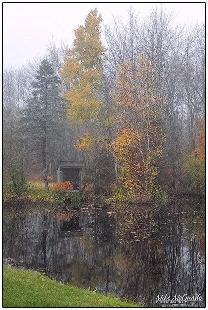 Reflections in Autumn Fog