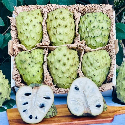 Cherimoya