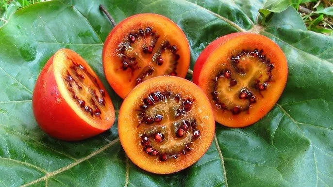 Tamarillos (Tree Tomato)