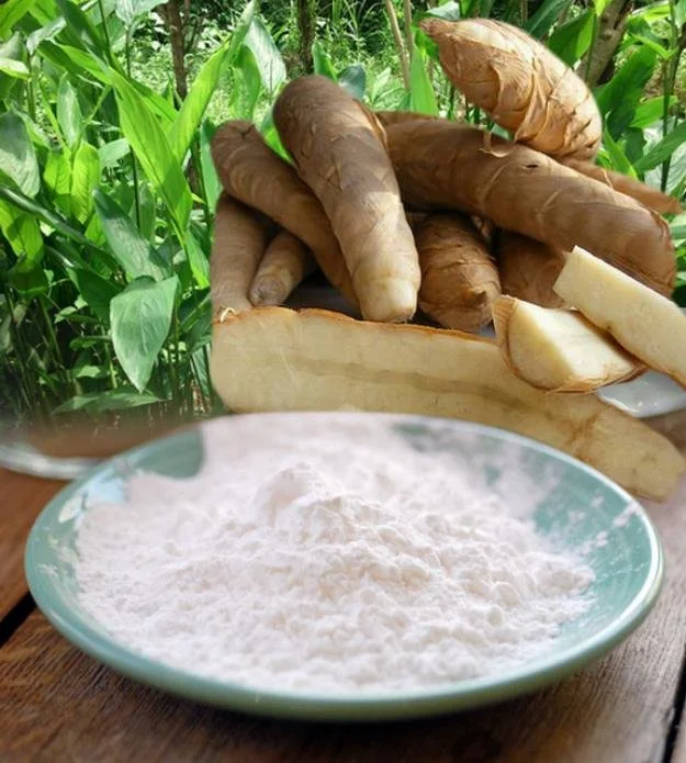 Arrowroot