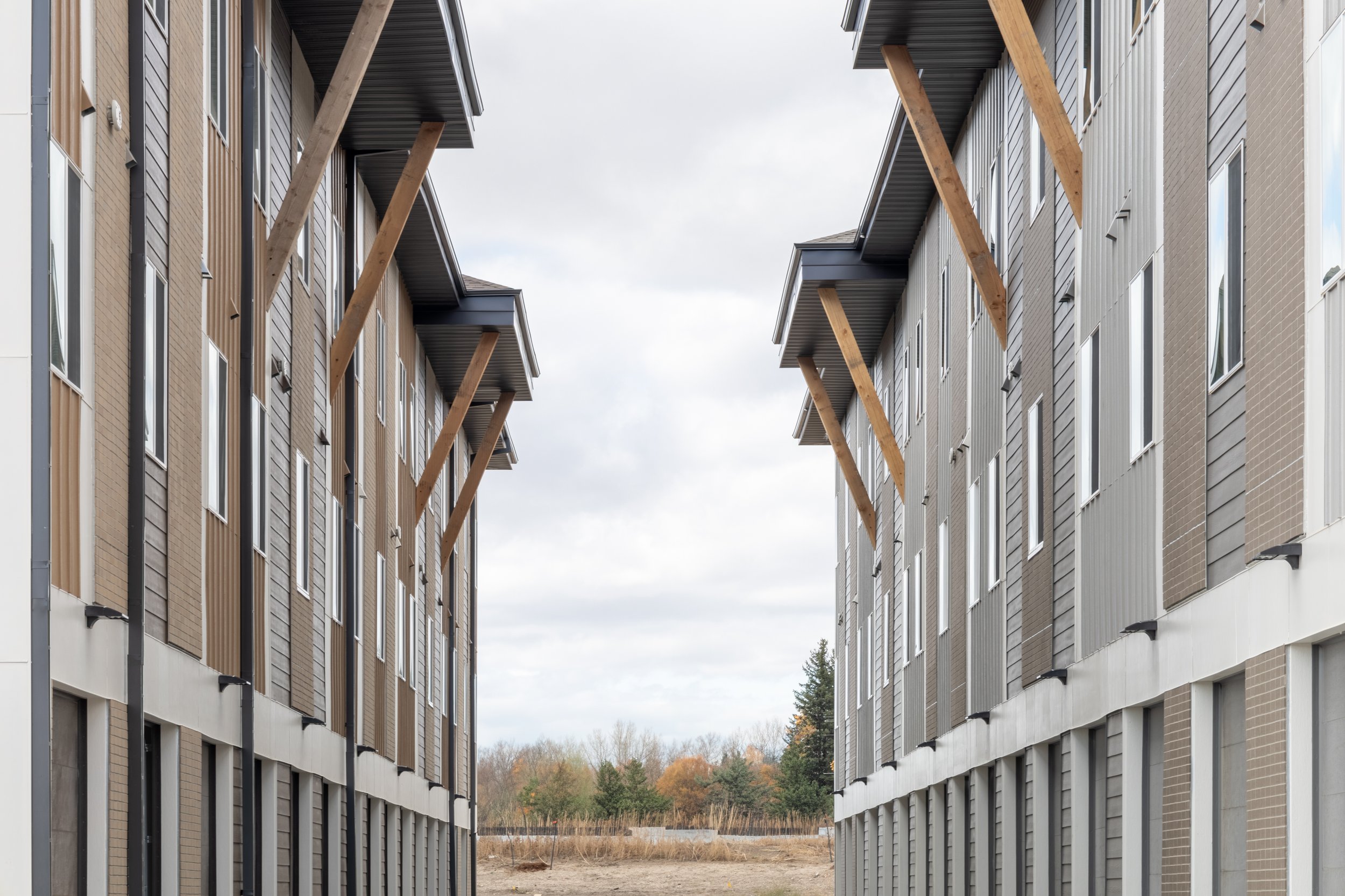 saddle_ridge-11.jpg
