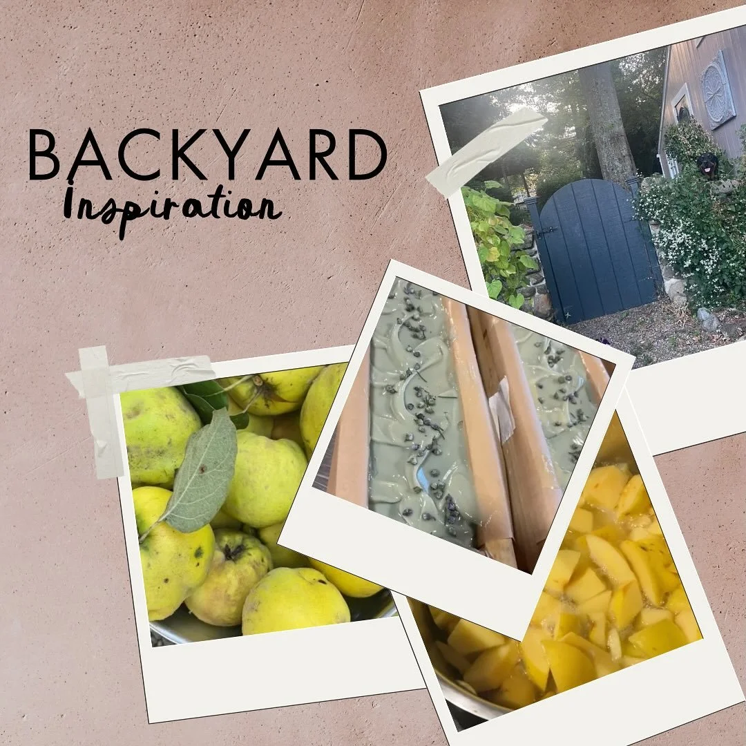 Fall has brought quince and juniper berries to the backyard of the cottage. 🍃 

From herbs and healing plants left from generations before us, they now can be shared in the form of soaps and other clean living goods in the makery. 

I was asked rece