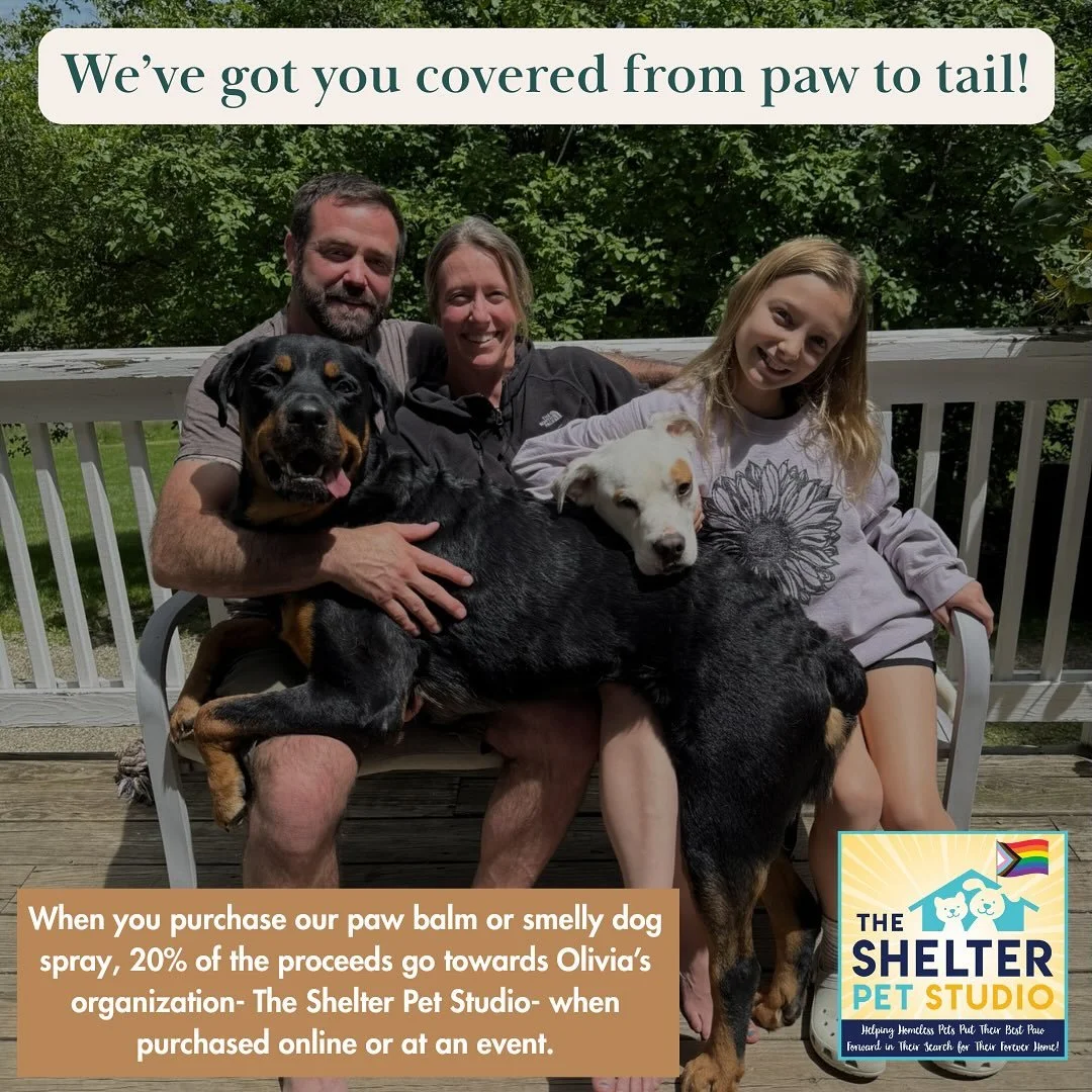 If you&rsquo;ve been in my world for any length of time, you know that I love dogs! In my free time I walk pups at the Stark County Dog Warden. They deserve all the love they can get to get them out of their cages while they wait for adoption!

That&