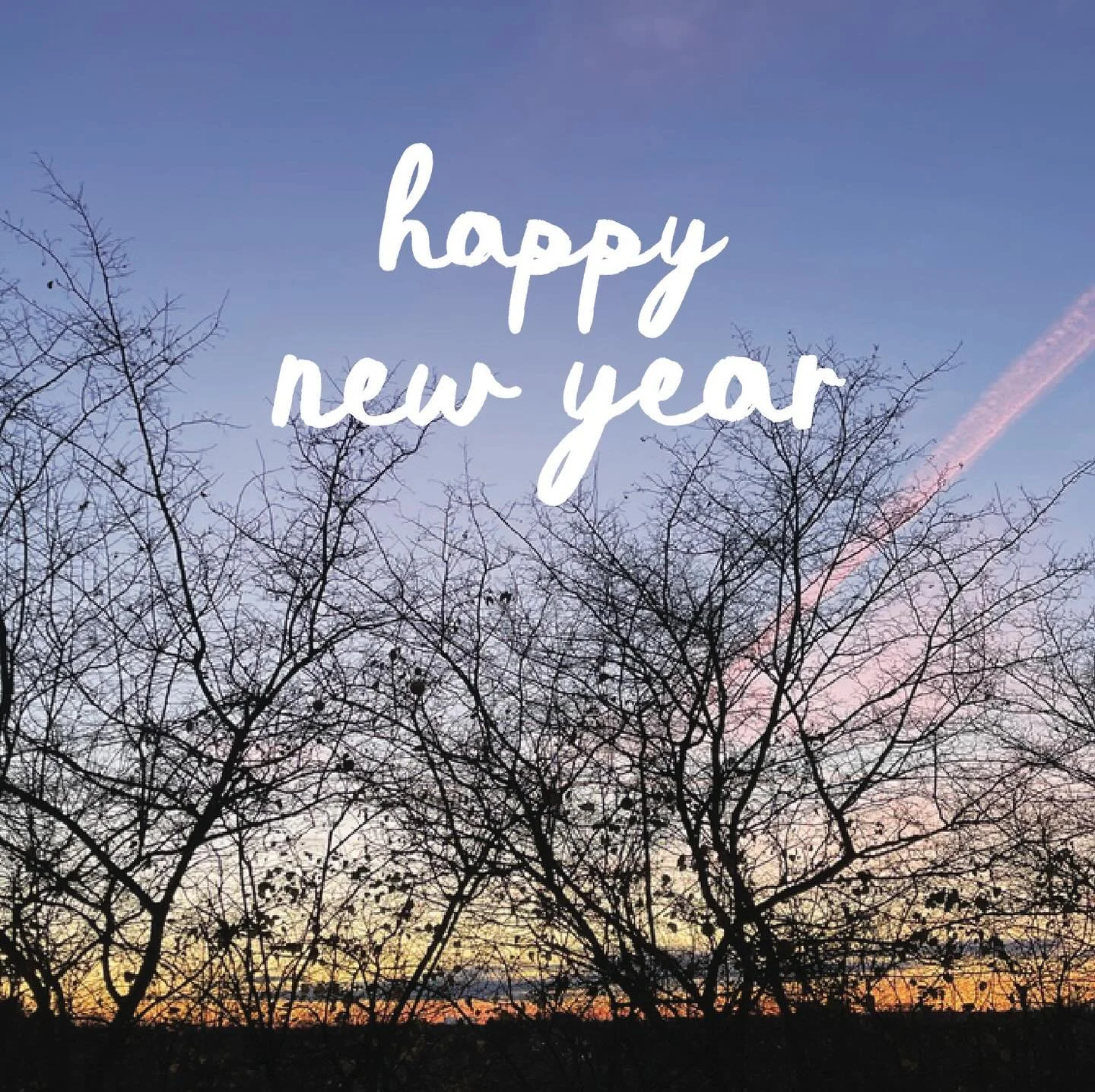 Happy New Year from the cottage! Thank you for another year of supporting The Green Cottage Makery, it means more to me and my family than you know.

I hope your first days of the year are slow and mindful, filled with health &amp; happiness.

Wishin