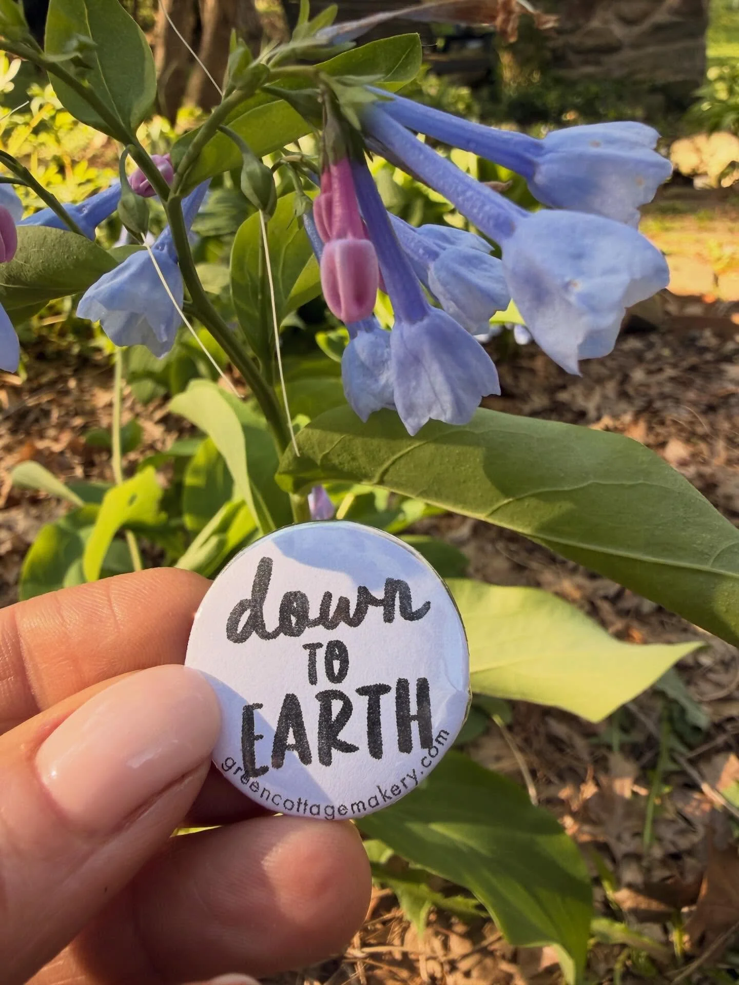 Just a reminder to on this Earth Day to think about your impact. Nature takes care of us, let&rsquo;s do the same ✌🏼 💚