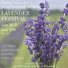 Maize Valley Lavender Festival