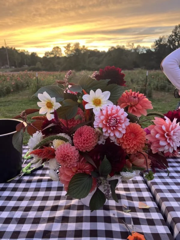 Bloom Hill Farm Bloom Fest