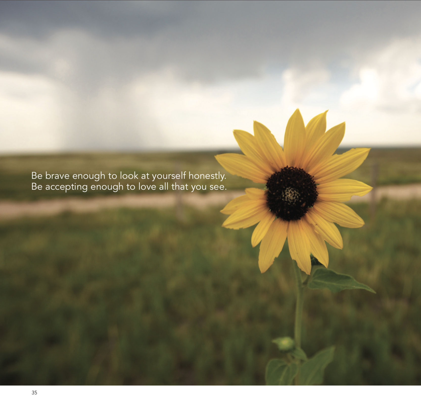 Screen Shot 2018-11-10 at 12.19.58 PM.png