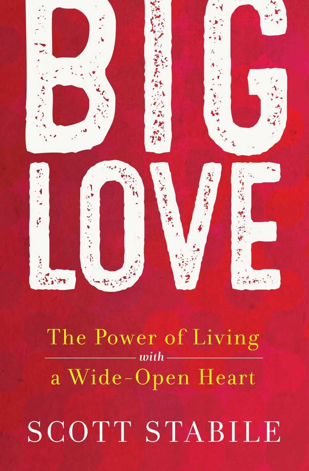 Big Love Book Cover.jpeg