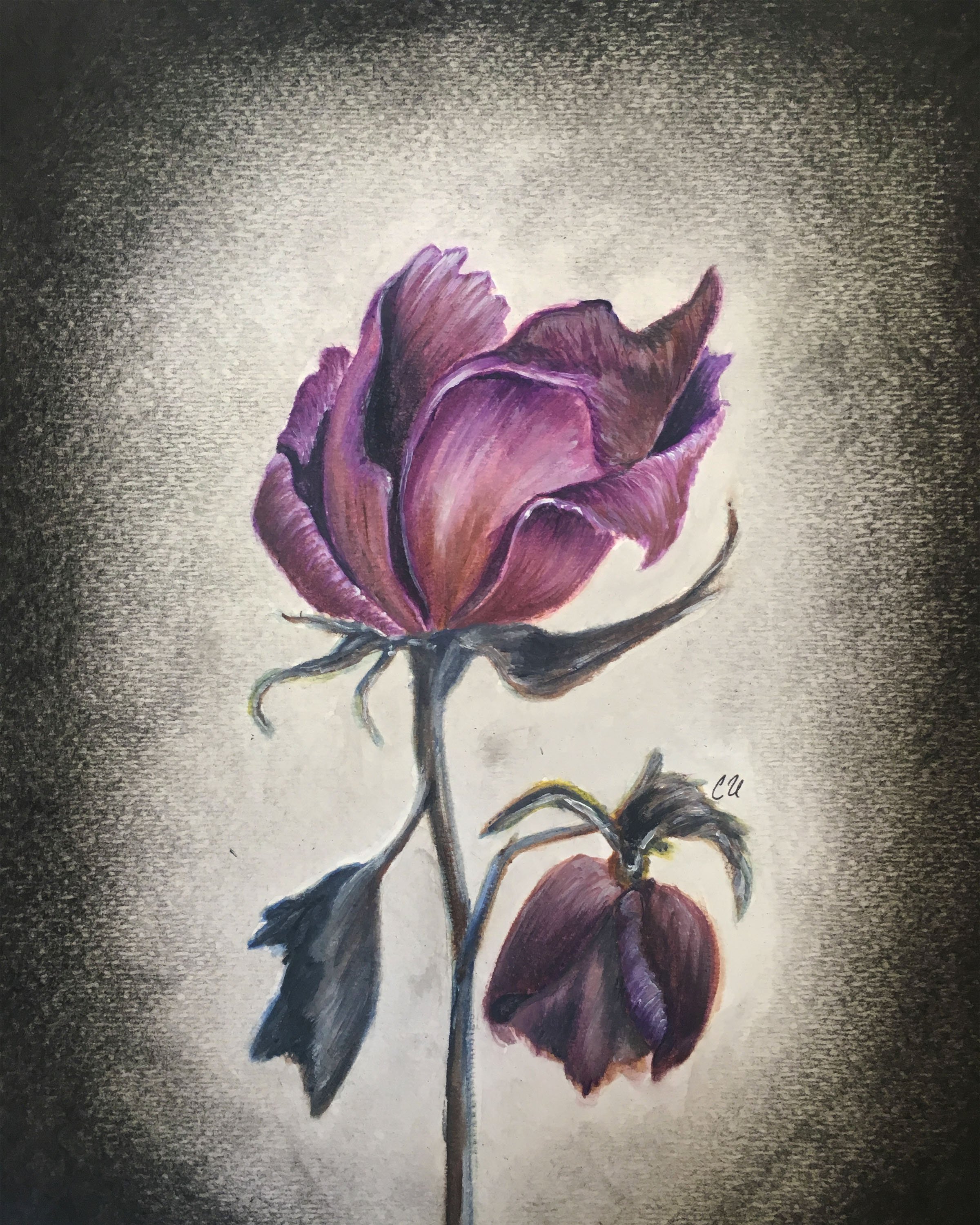 Dying rose 8x10 print.jpg