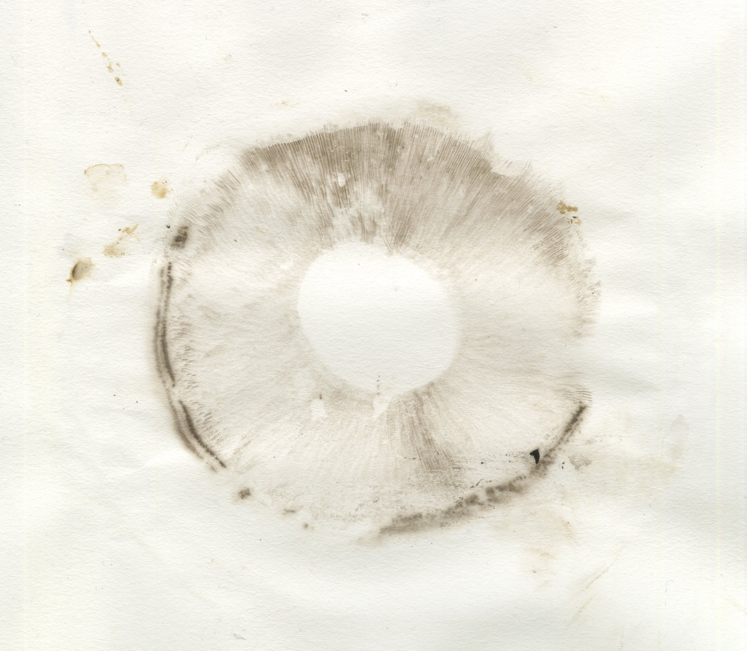spore_prints.jpeg