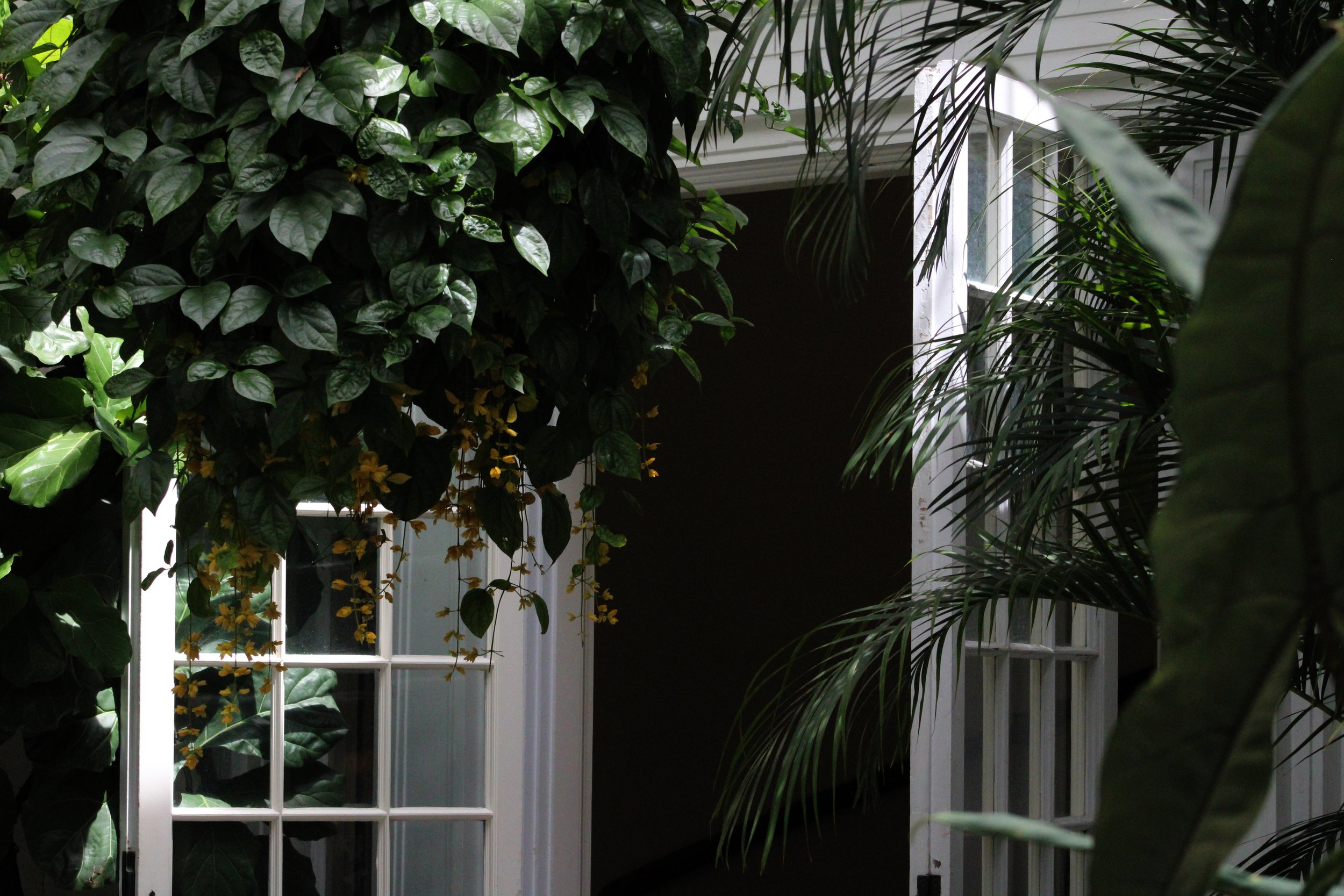 doorway.jpg