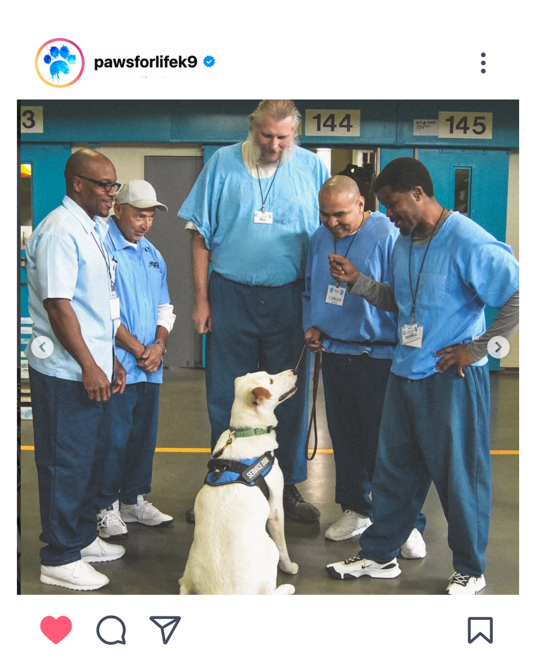 Paws For Life