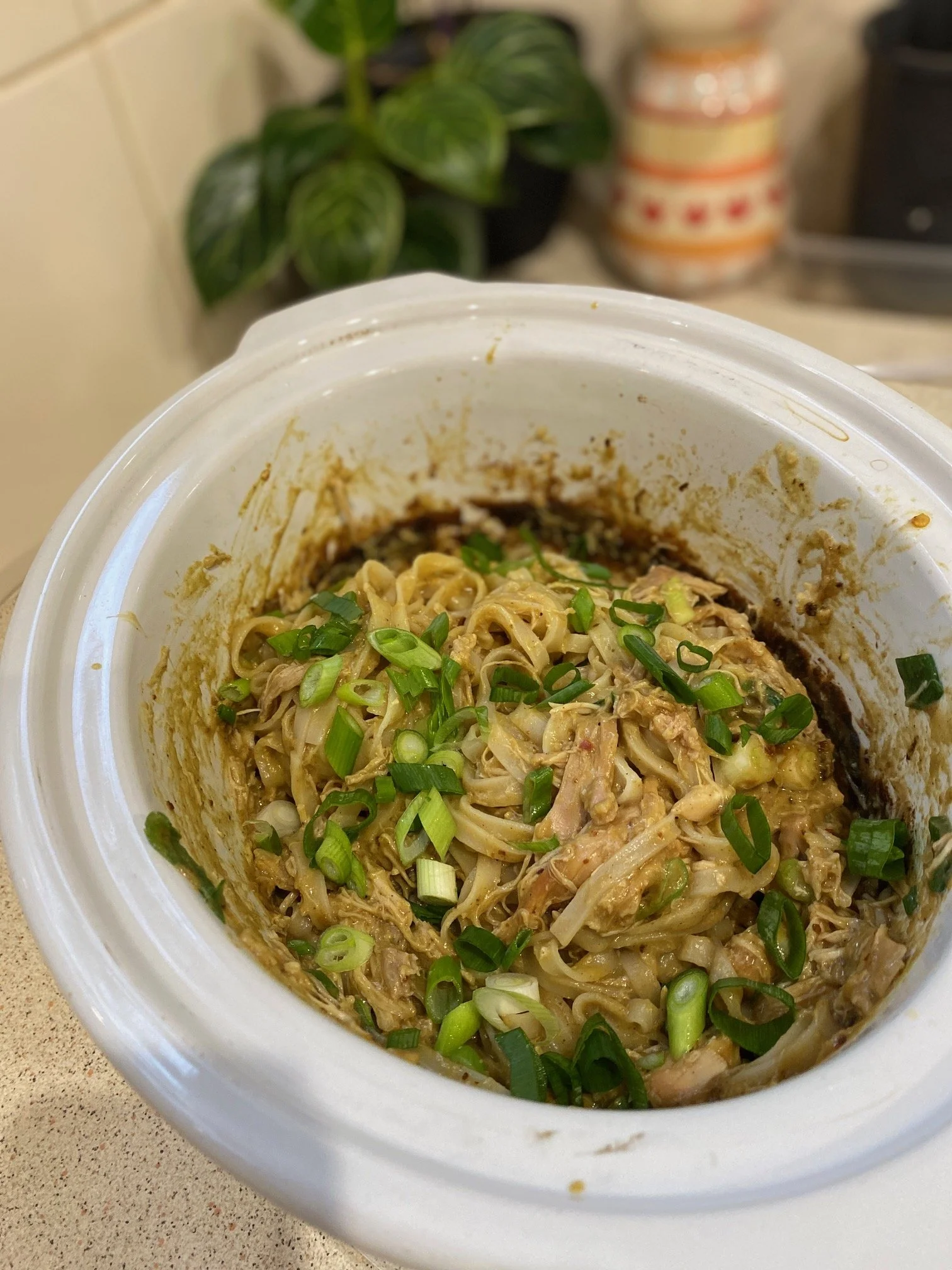 Thai Peanut Chicken Noodles — The Homestead Pantry Recipe Collection