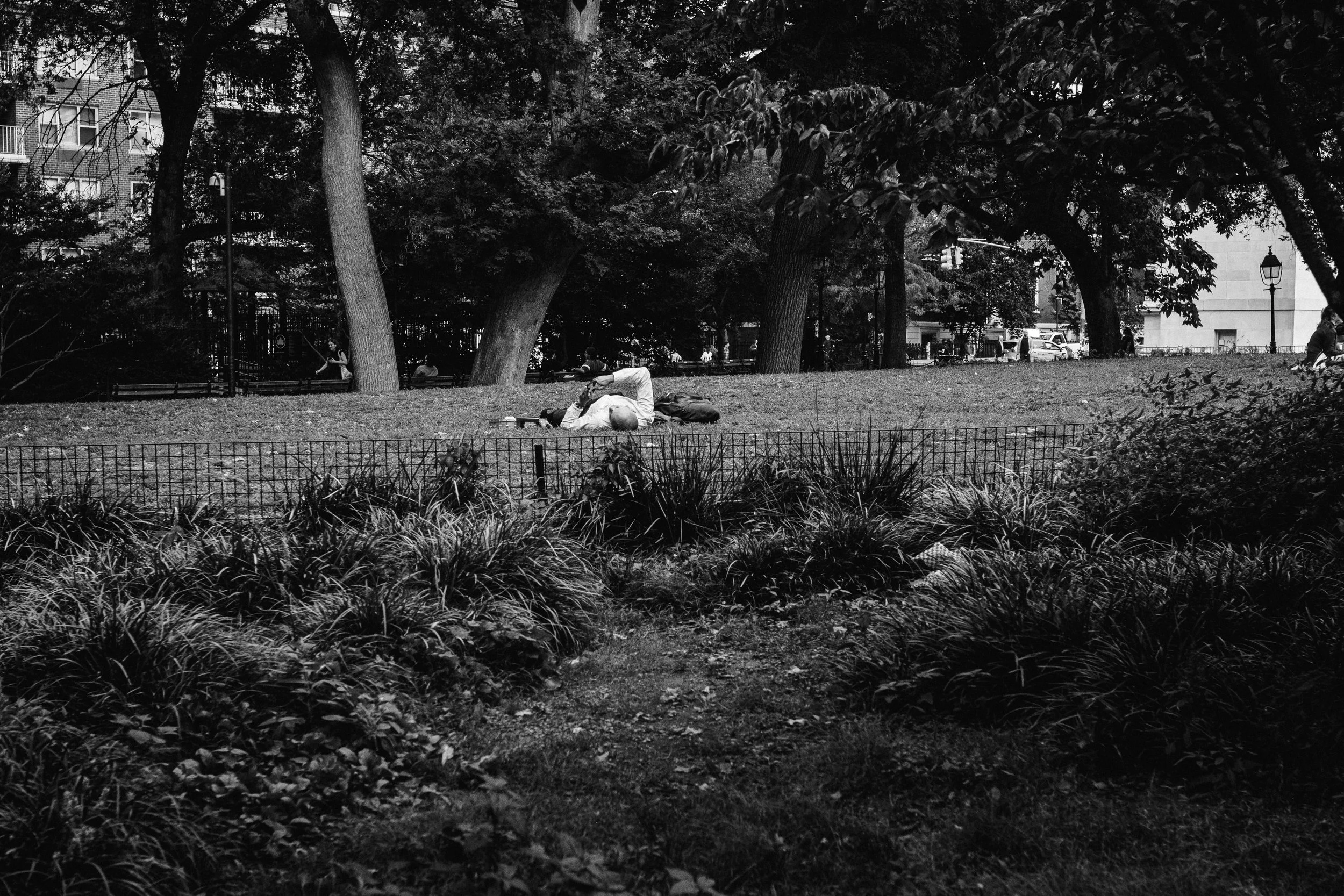 DSCF6615.jpg