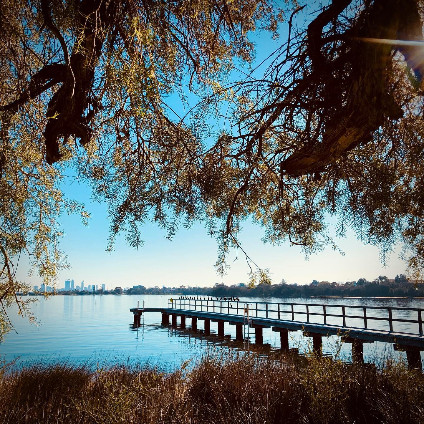 Finally a break in the endless rain! Time for a stroll - and a spot of fishing for some - in the sunshine along the Swan River in  picture perfect Mt Pleasant.

#actbelongcommit #walkforhealth #swanriver #swanriverperth #thisisperth#perthisok#fishing