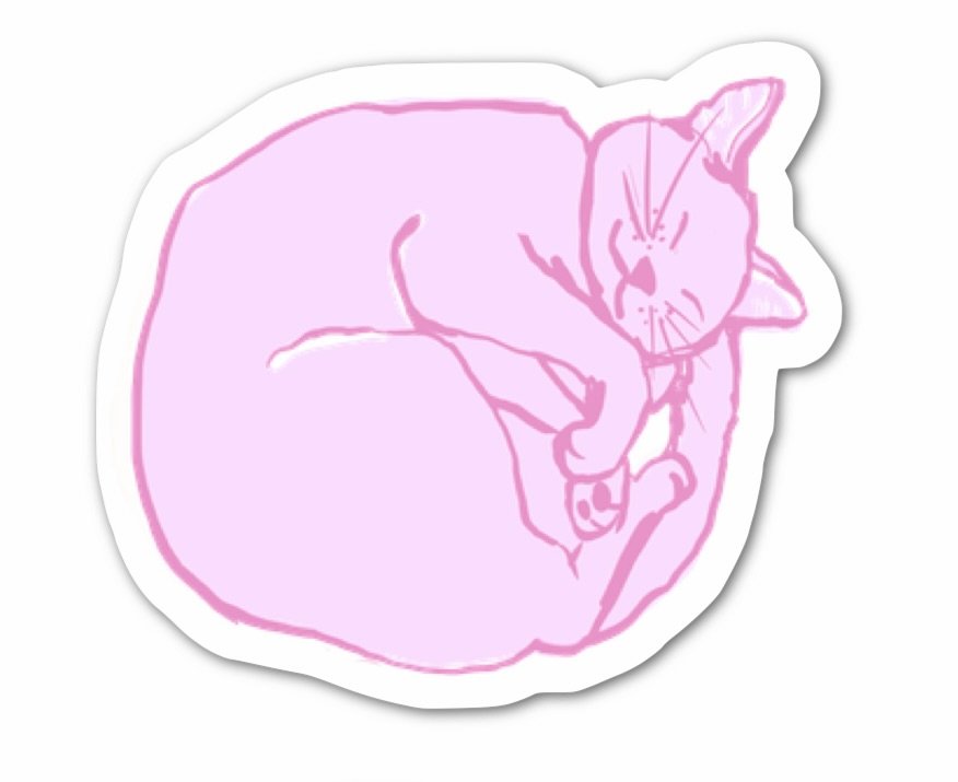 curledupkittypink.jpeg