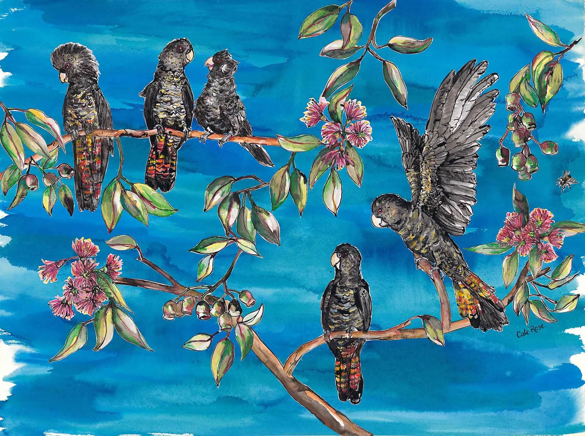 Black Cockatoo Party