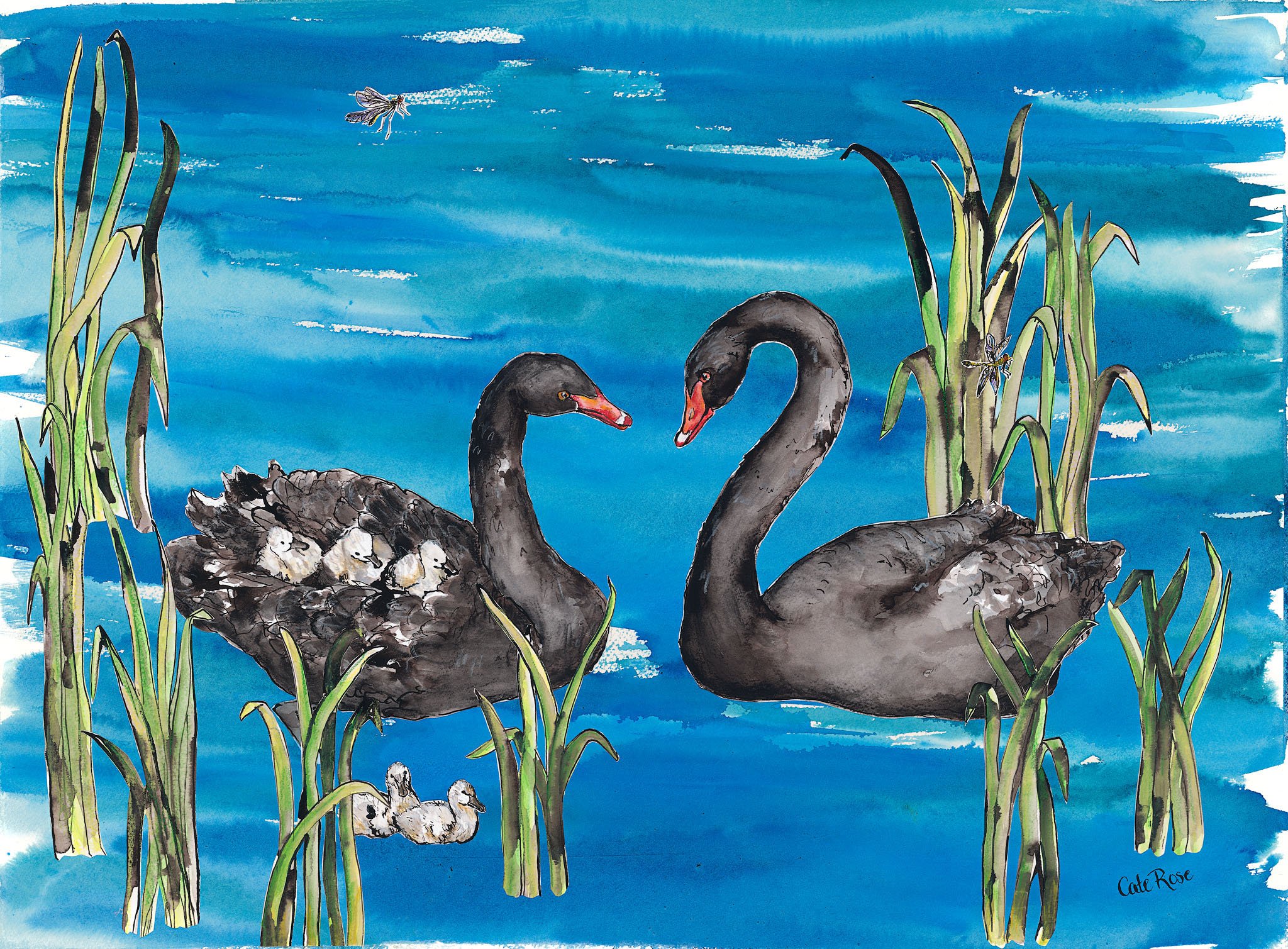 blackswanfamily.jpg