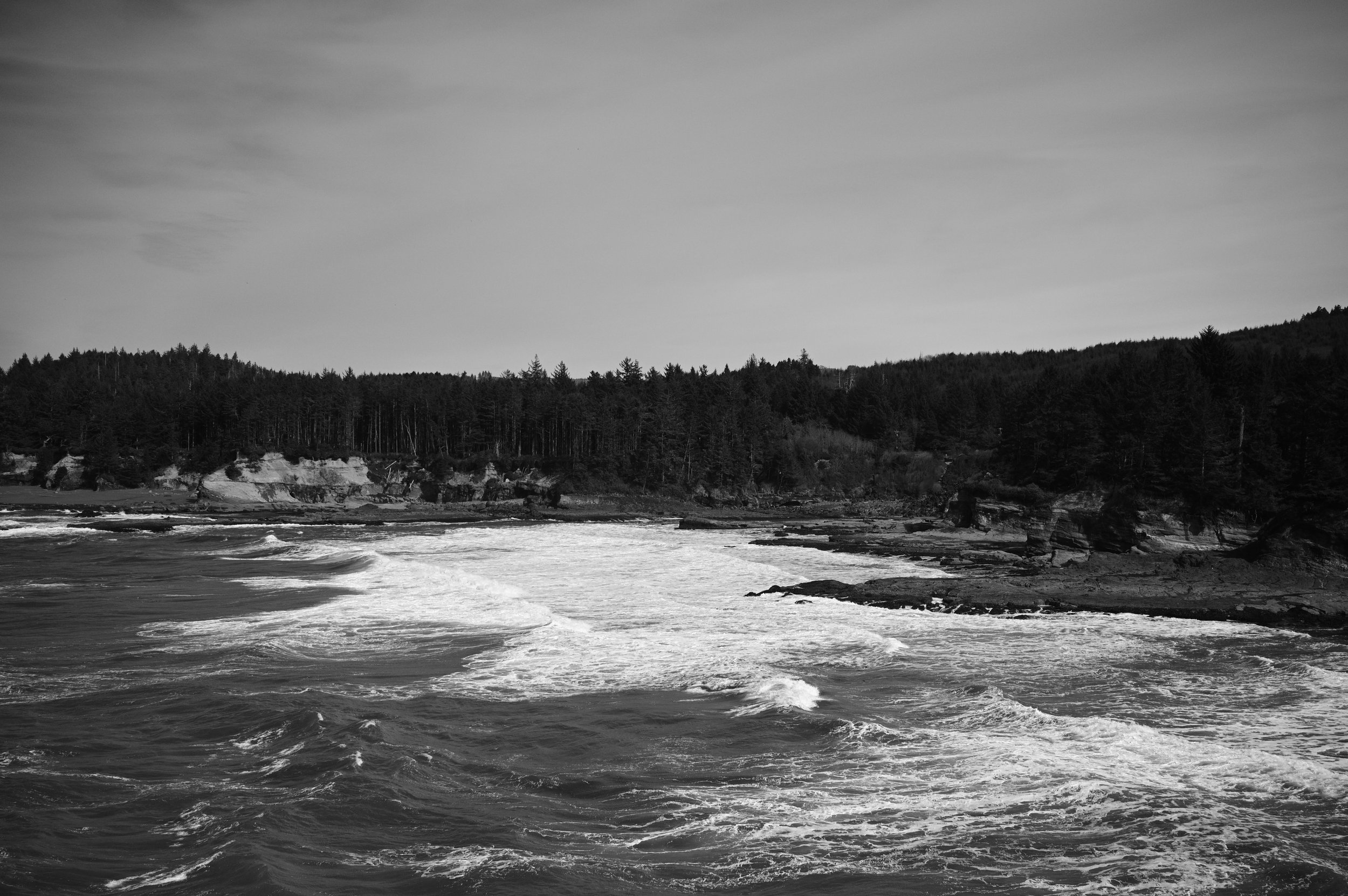 DSC_1914.jpeg