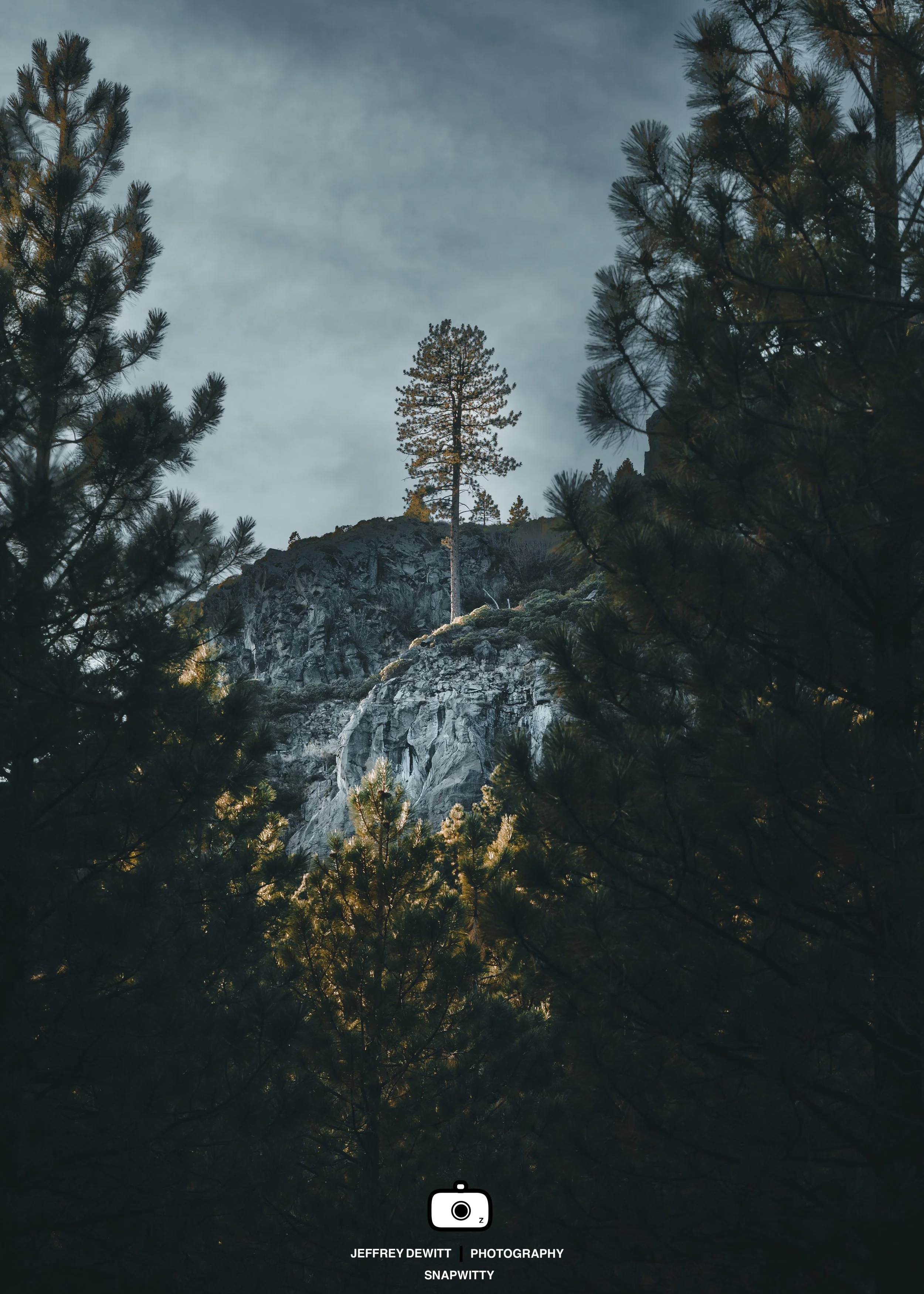 2021_December_TumaloFalls_TreeFramedOnHill-1.jpg