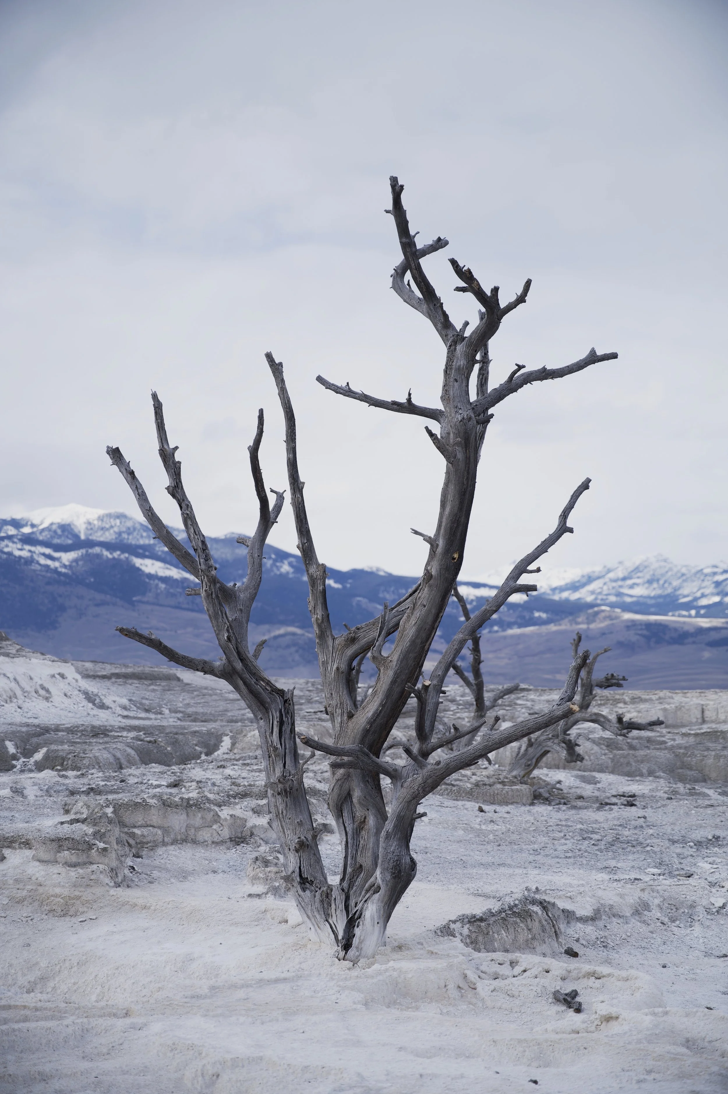 Urban and Nature Landscapes, Travel,  Astrophotography, and More