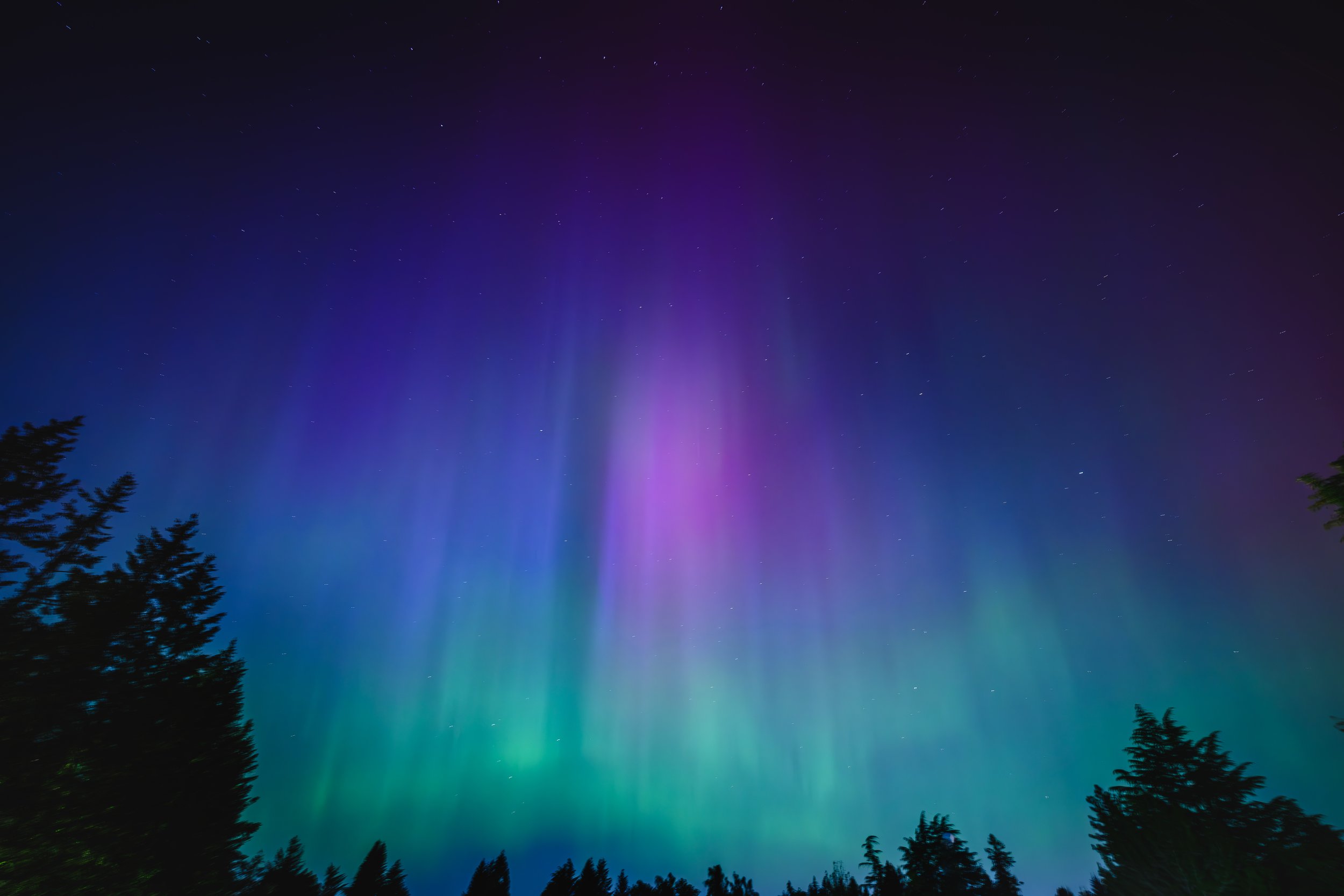 2024_May_Oregon_NortherLightsOverBeaverton-1.jpg