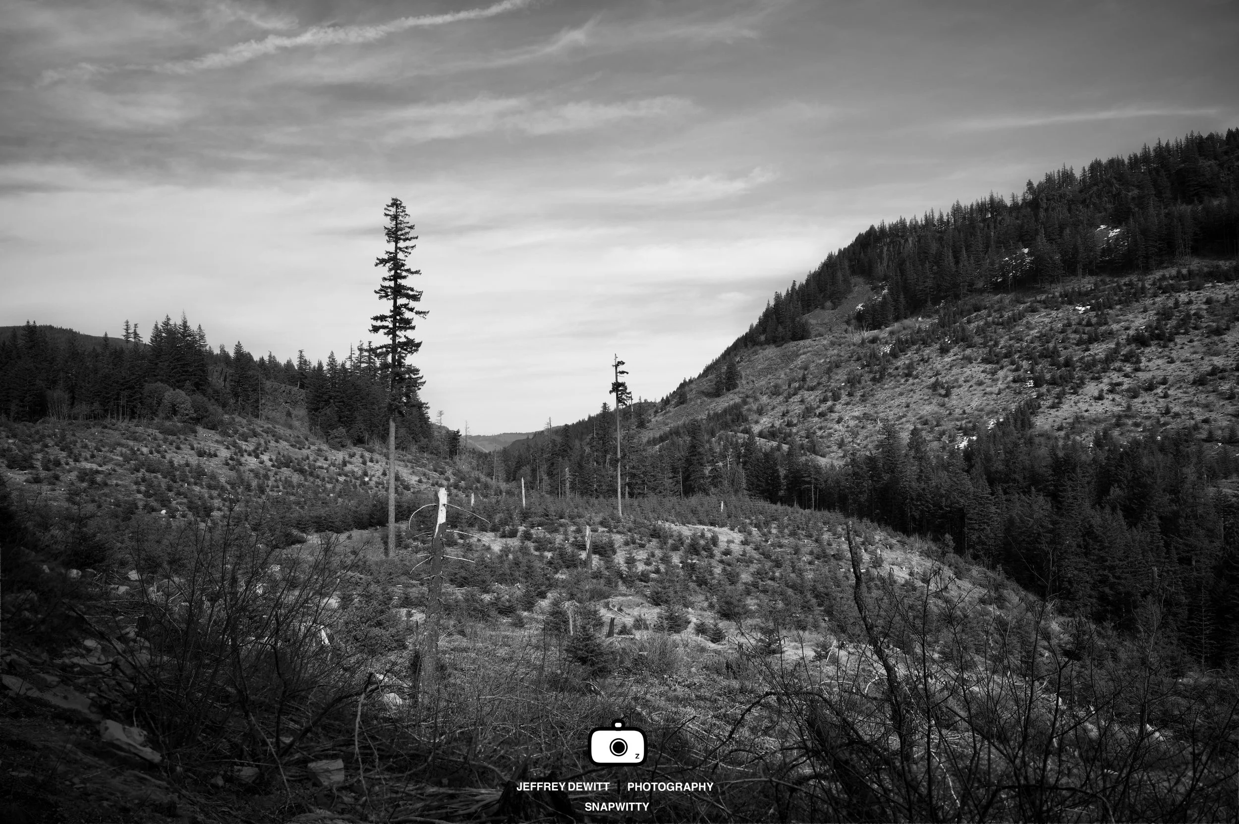 2021_March_HoodRiver_ClearCut-1.jpg