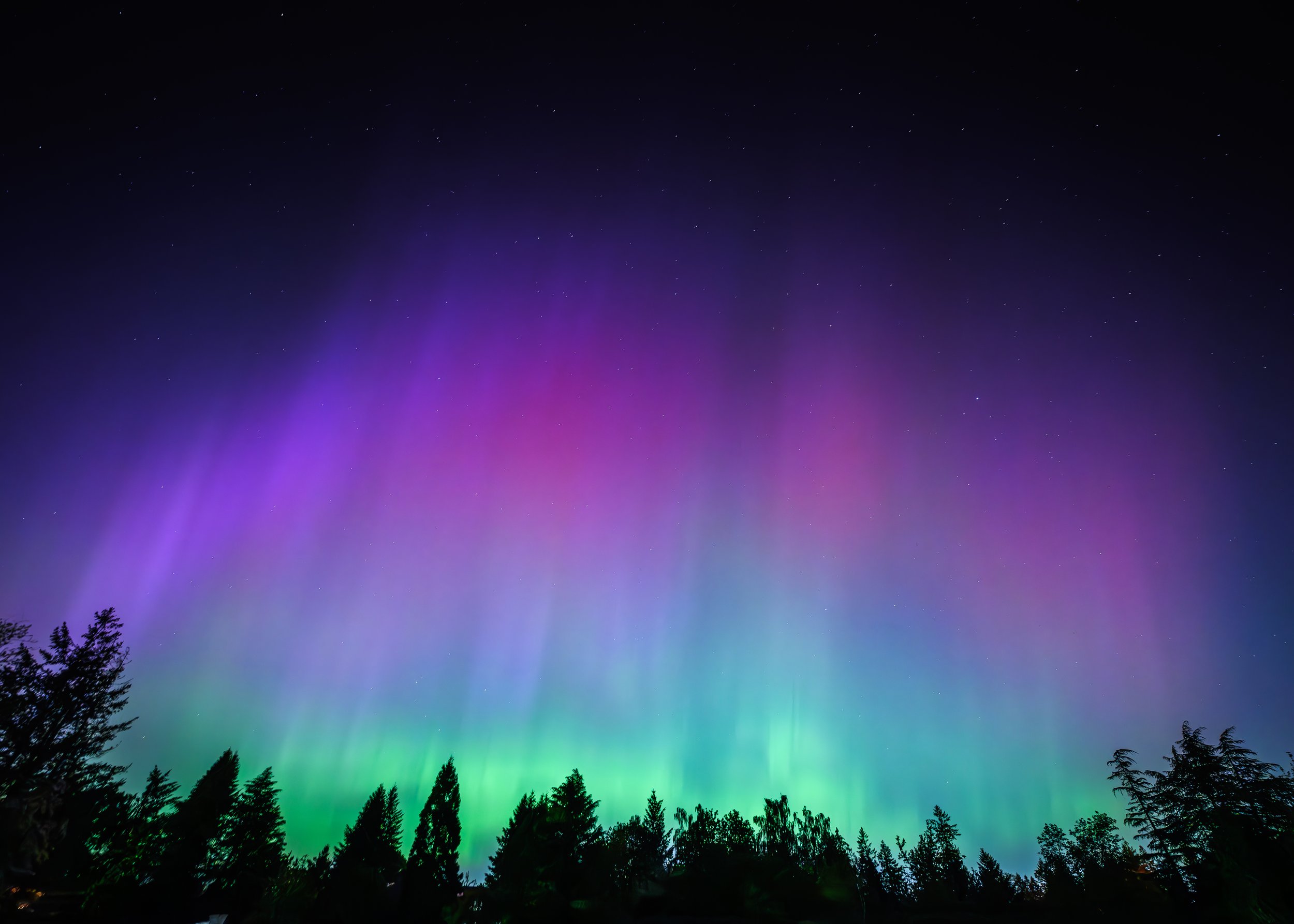 2024_May_Oregon_NortherLightsOverBeaverton-6.jpg