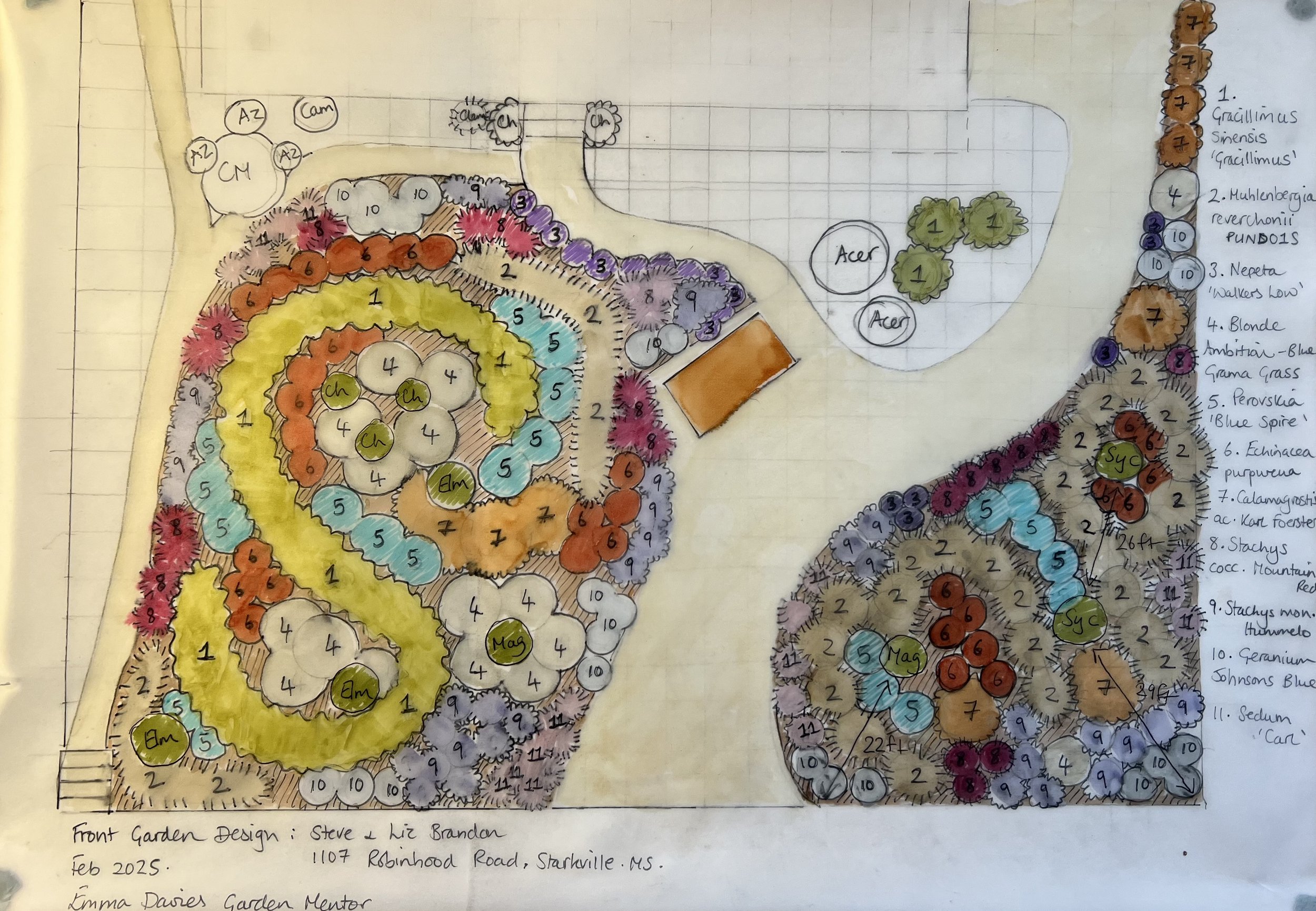 Concept Plan Draft 1 Brandons Front Garden.jpg