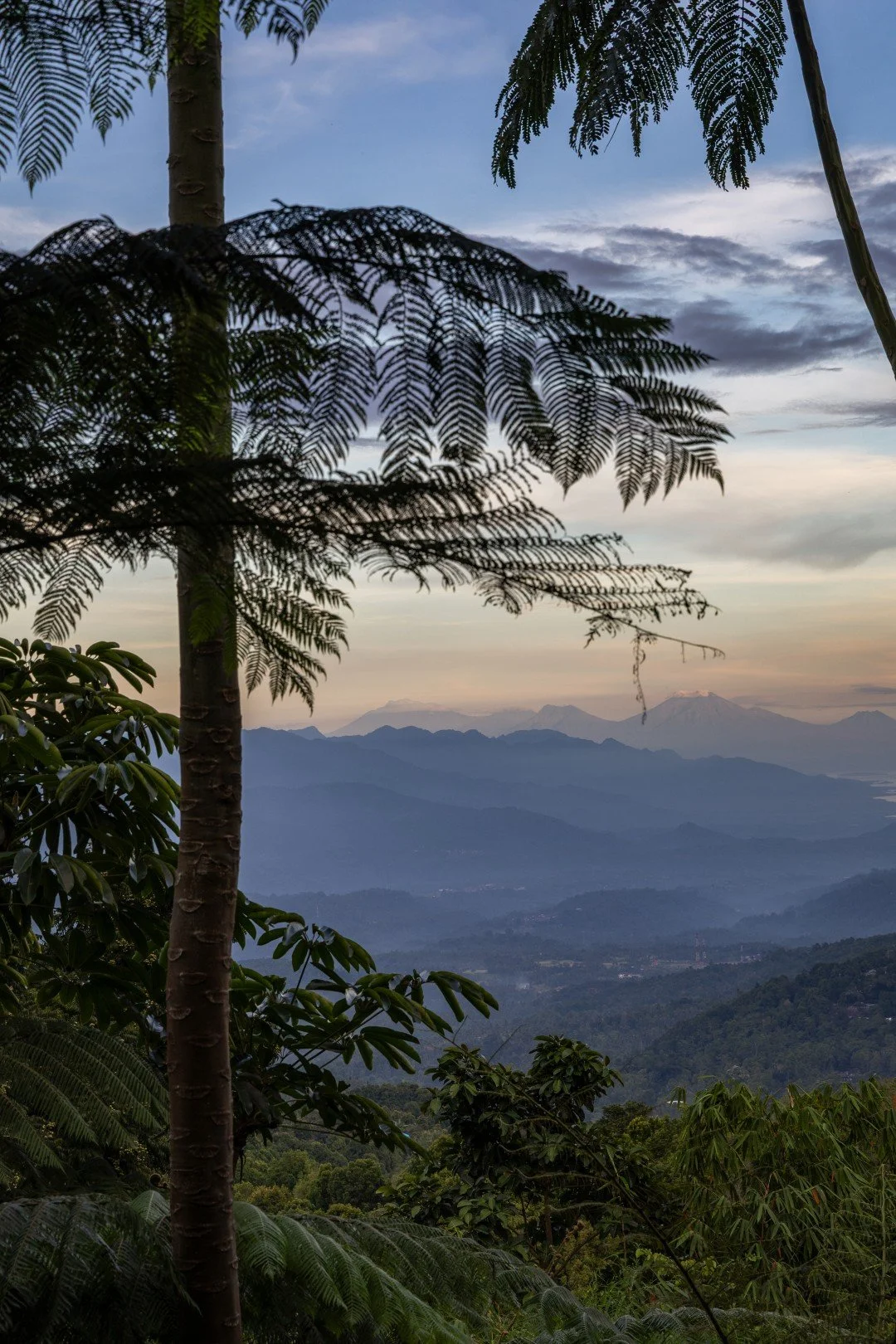 Munduk Cabins-View-4.jpg