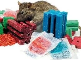 Vitamina K1 o vitamina K2: Elegir mal puede tener consecuencias