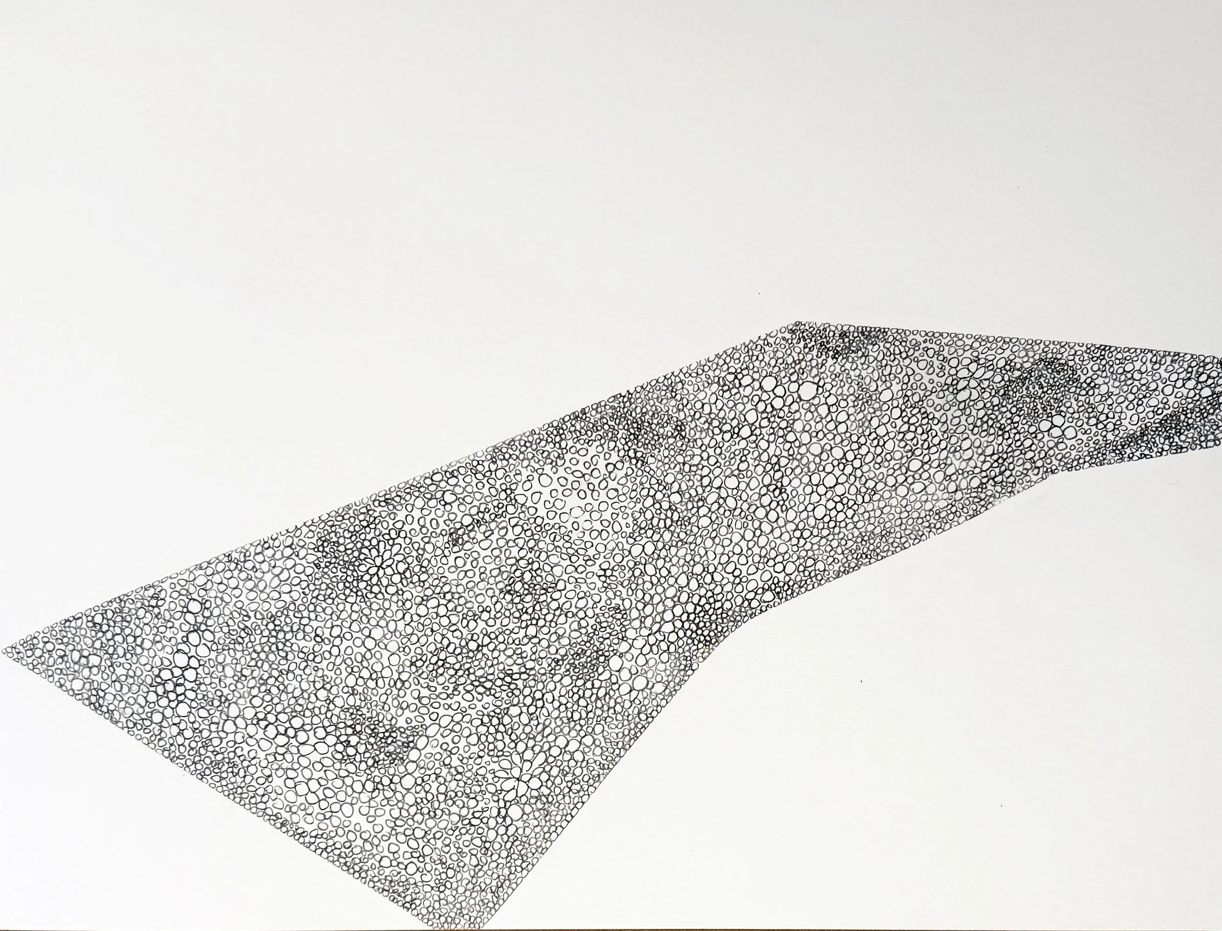 Anne Trauben, Stay On Your Toes, pencil on paper, 9 x 12, 2025.jpg