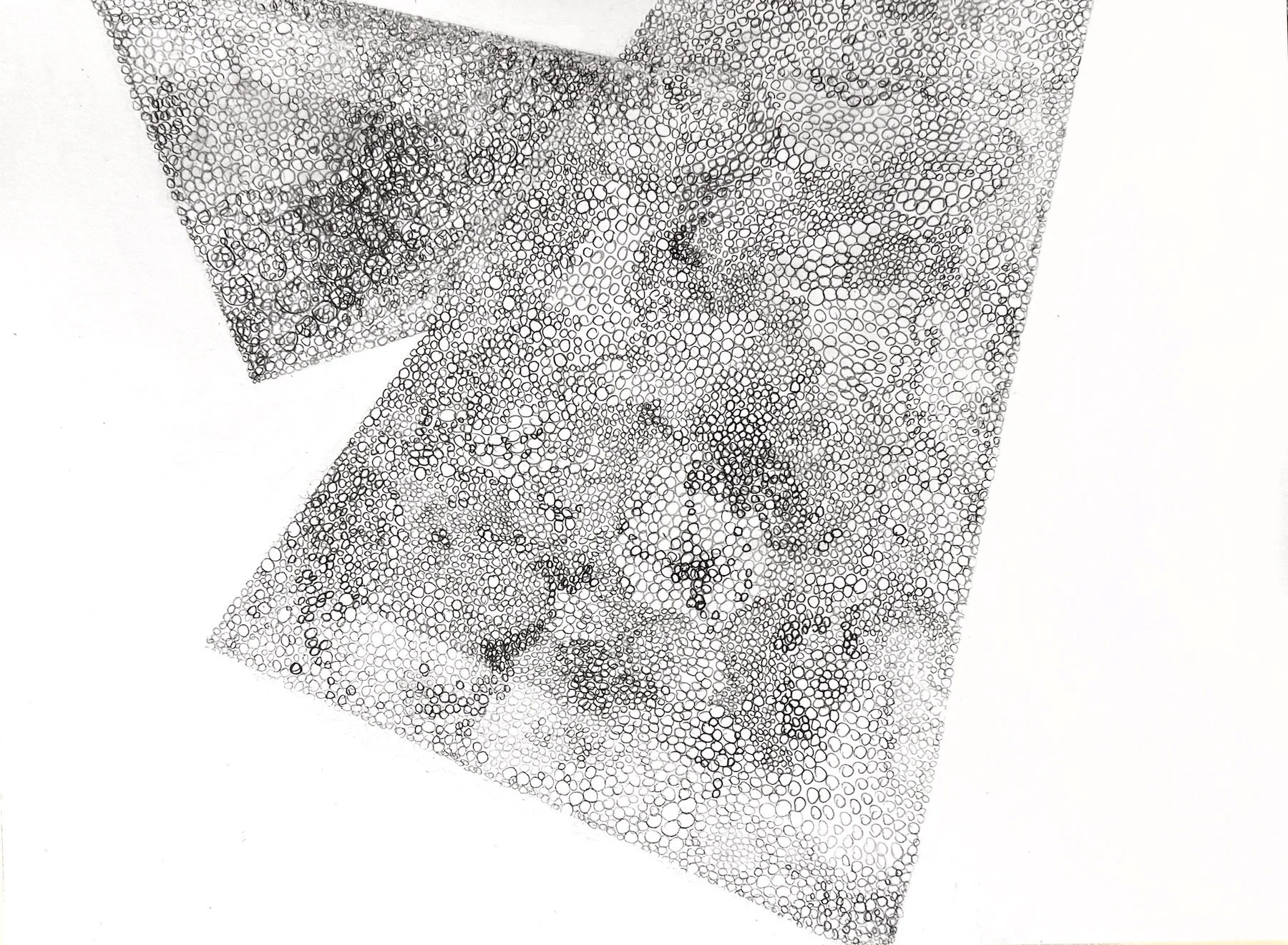Anne Trauben, En Pointe Lift Off, pencil on paper, 9 x 12, 2025.jpg