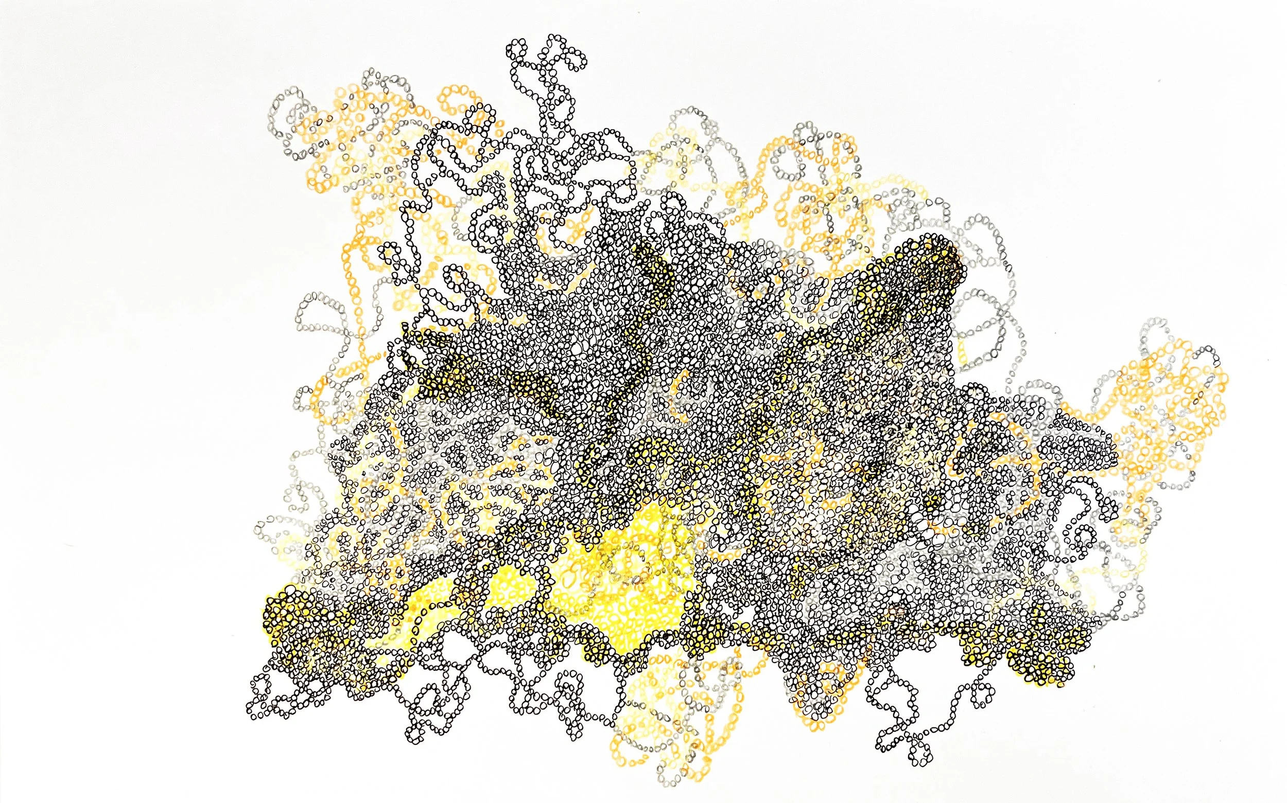 Anne Trauben, Weaving a through line 1 (yellow_orange), pencil, ink, 11 x 17, 2025.jpg