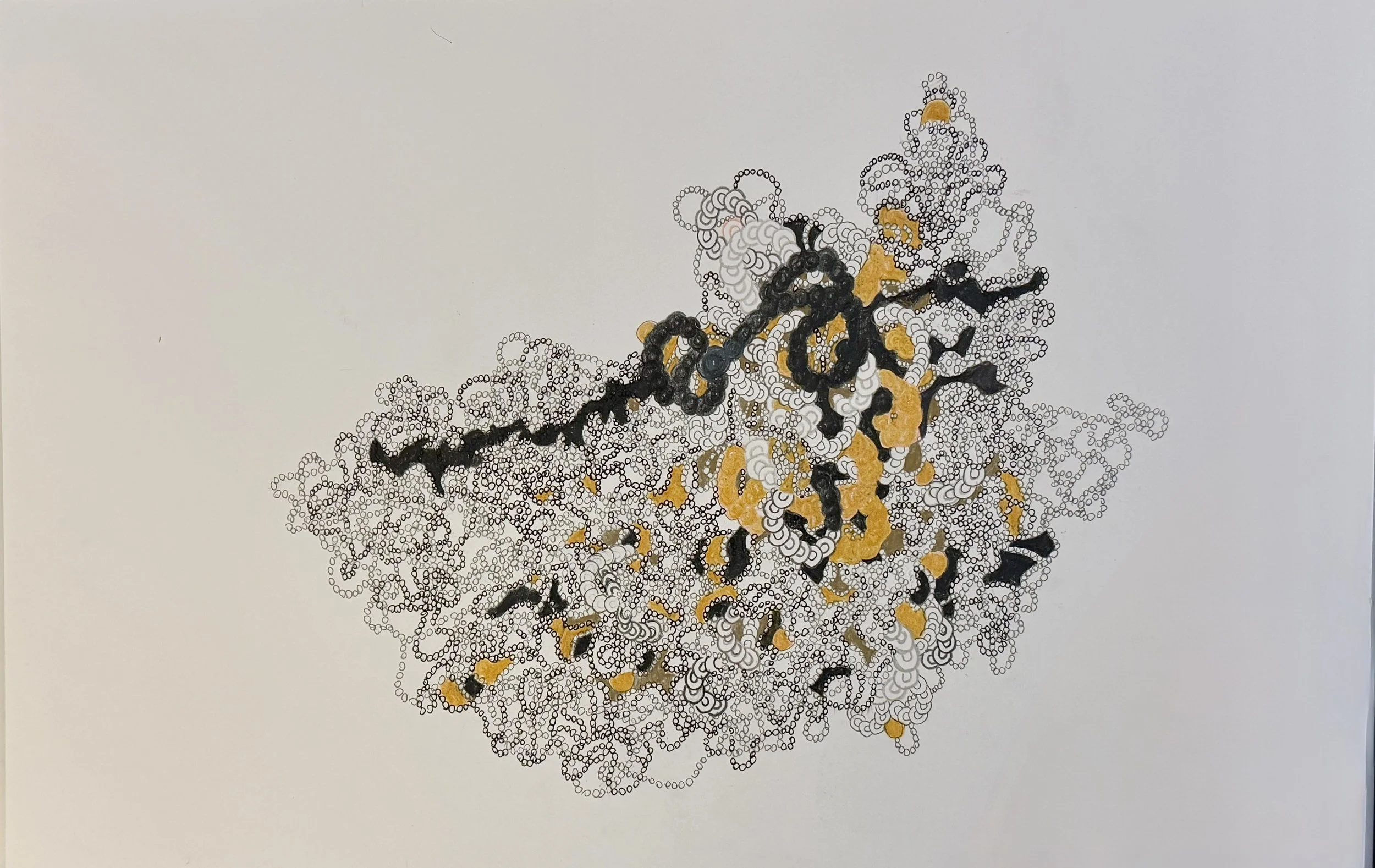 Anne Trauben, Weaving a through line 10 (black_gold), ink, pencil, colored pencil, 11 x 17, 2025.jpg