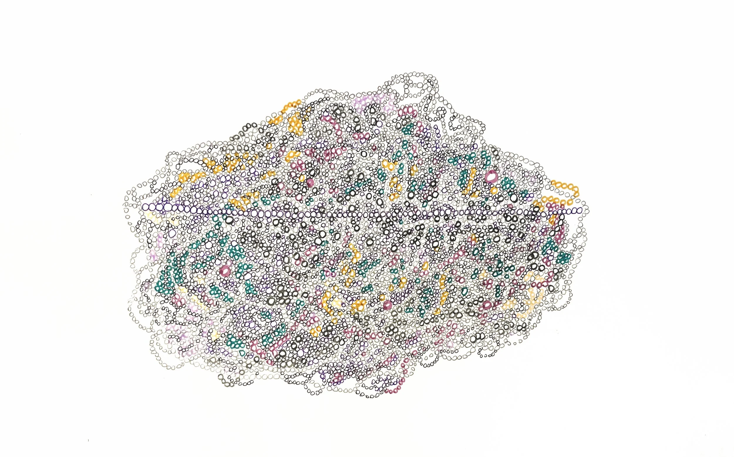 Anne Trauben, Weaving a through line 9 (purple_green_yellow) 2, pencil, ink, 11 x 17, 2025.jpg
