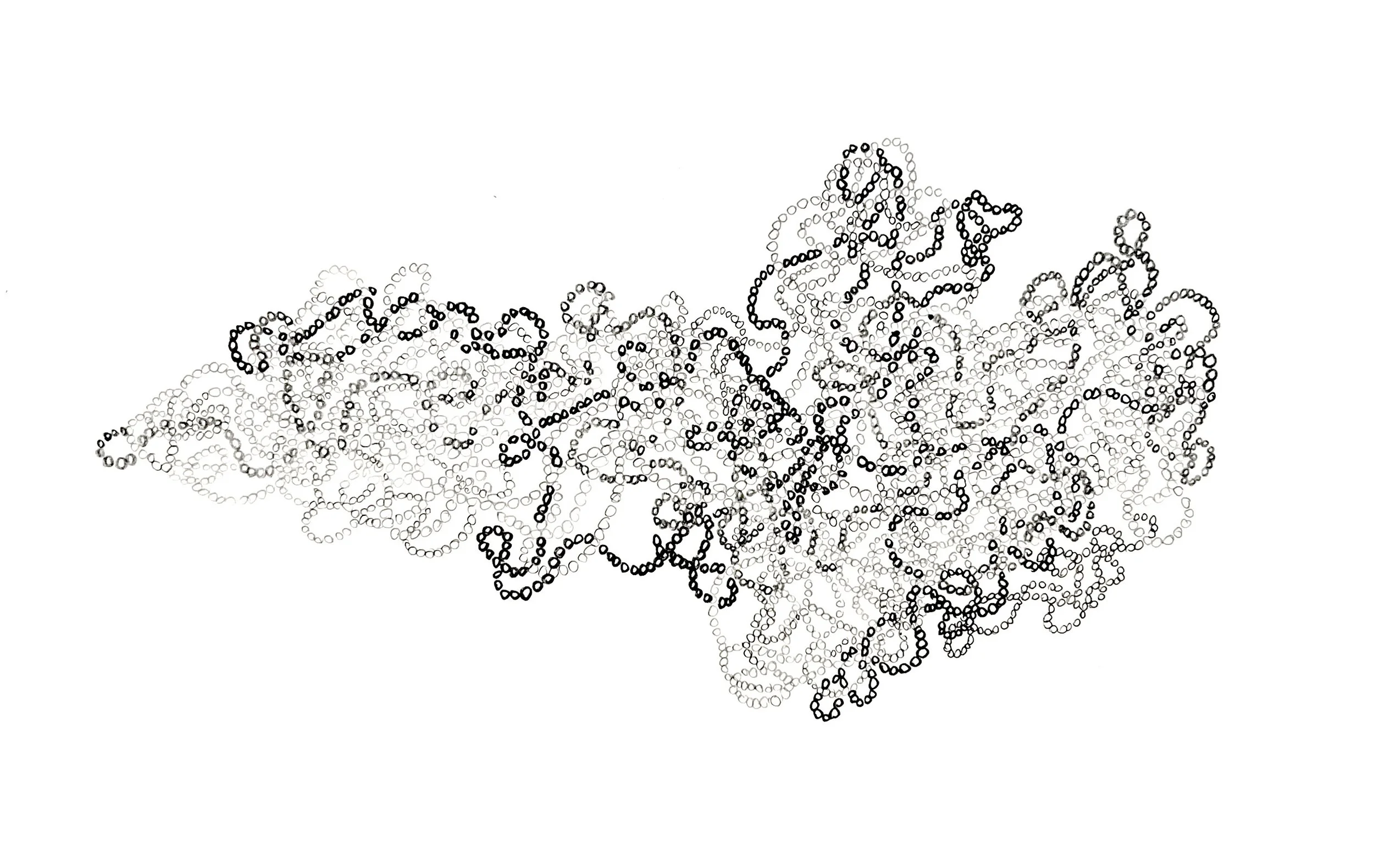 Anne Trauben, Weaving a through line 12 (black), ink, pencil, 11 x 17, 2025.jpg