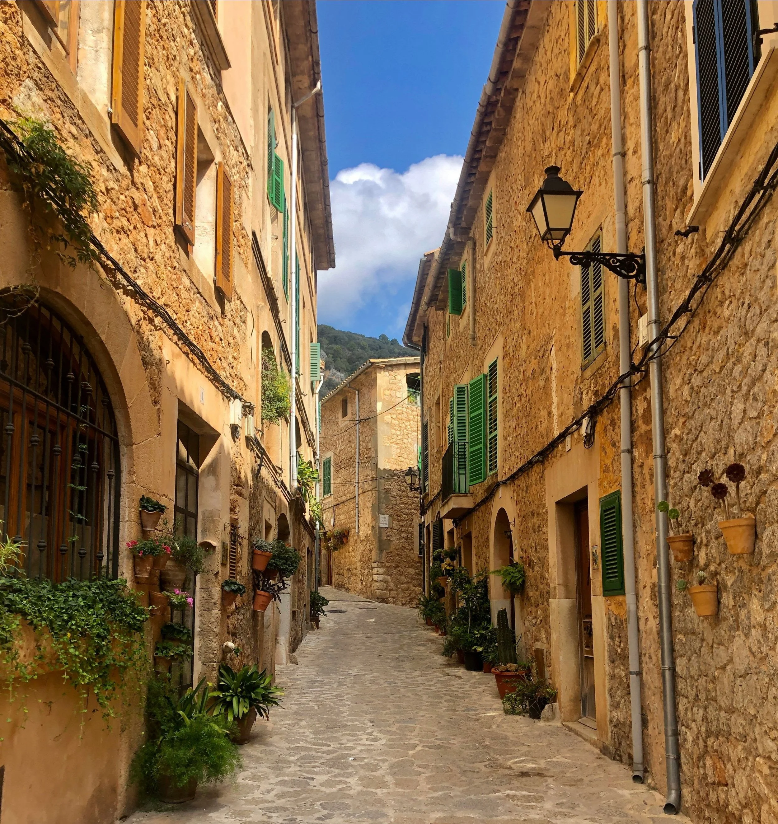 A Taste of Summer in Mallorca