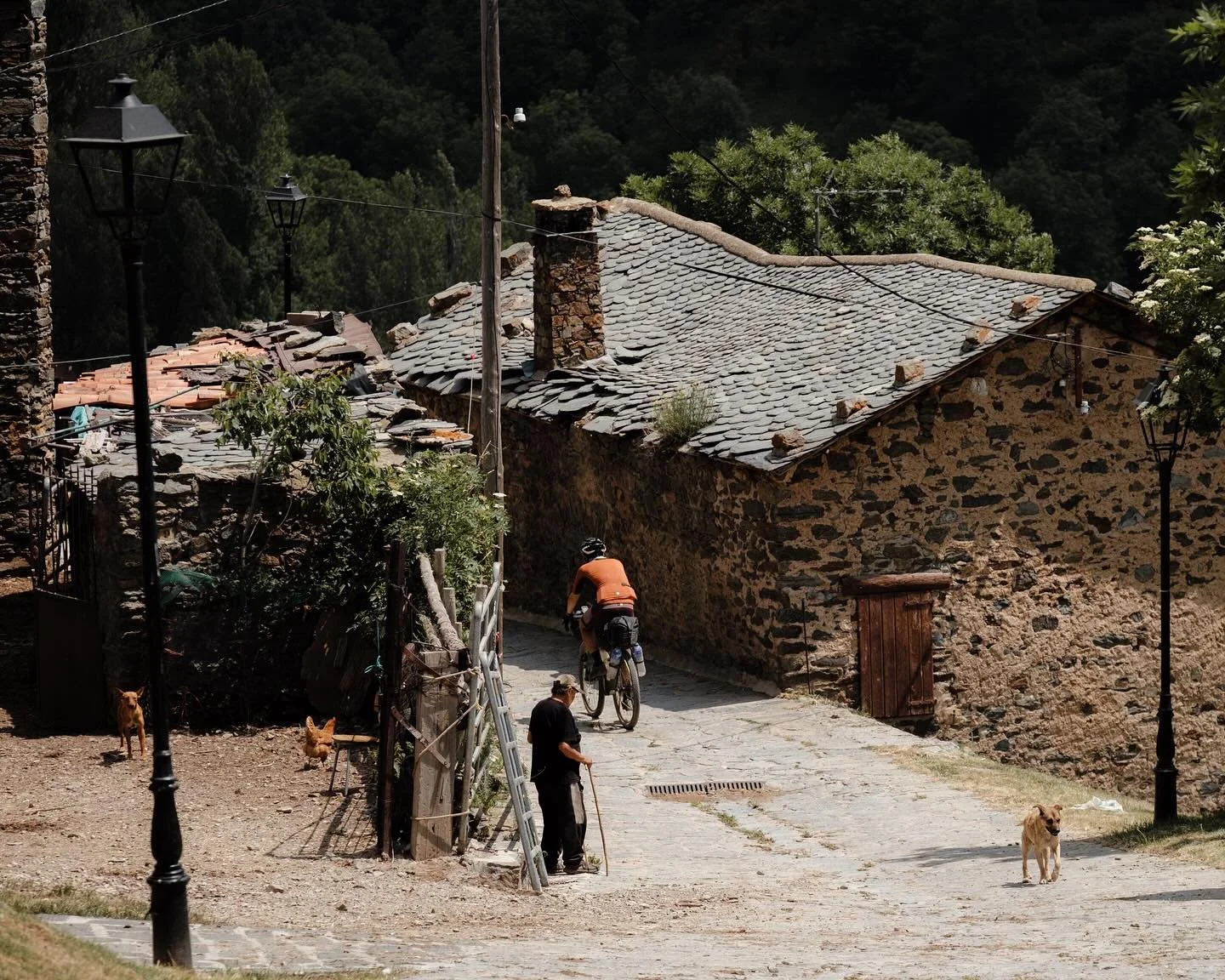 El Piri: Catalunya&nbsp;&nbsp;
&nbsp;
Home to some of Spain&rsquo;s best national parks,&nbsp;Catalunya&nbsp;is a haven of incredible fauna and flora, from soaring vultures to wild bears, and more recently the elusive lynx.&nbsp;The route regularly p