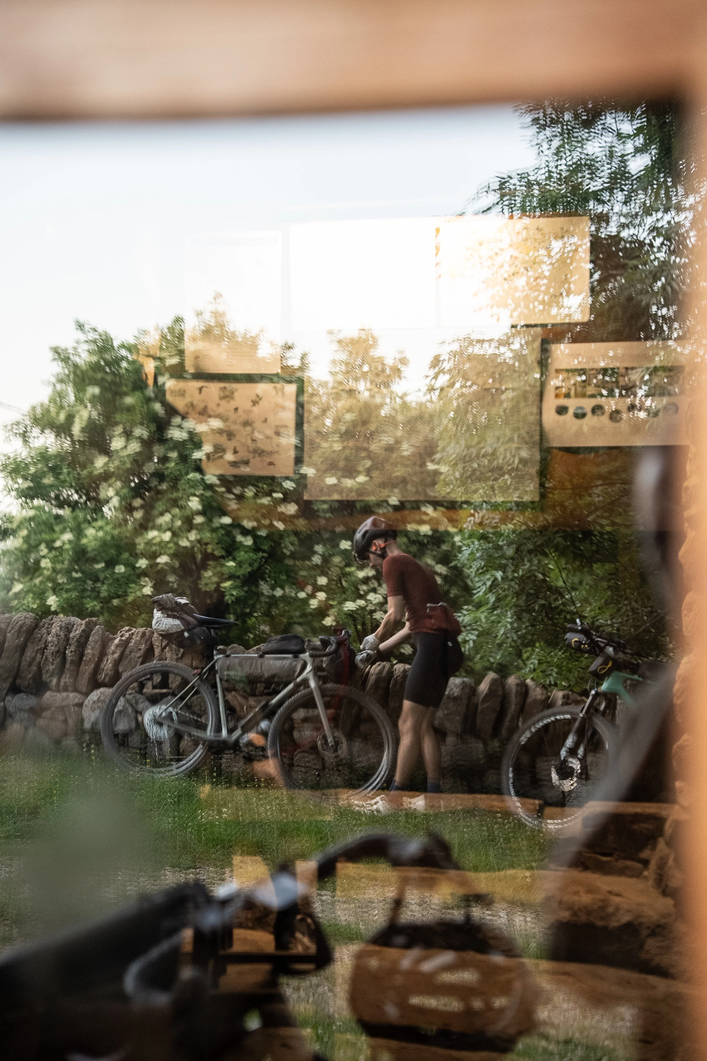 _A742351.jpg