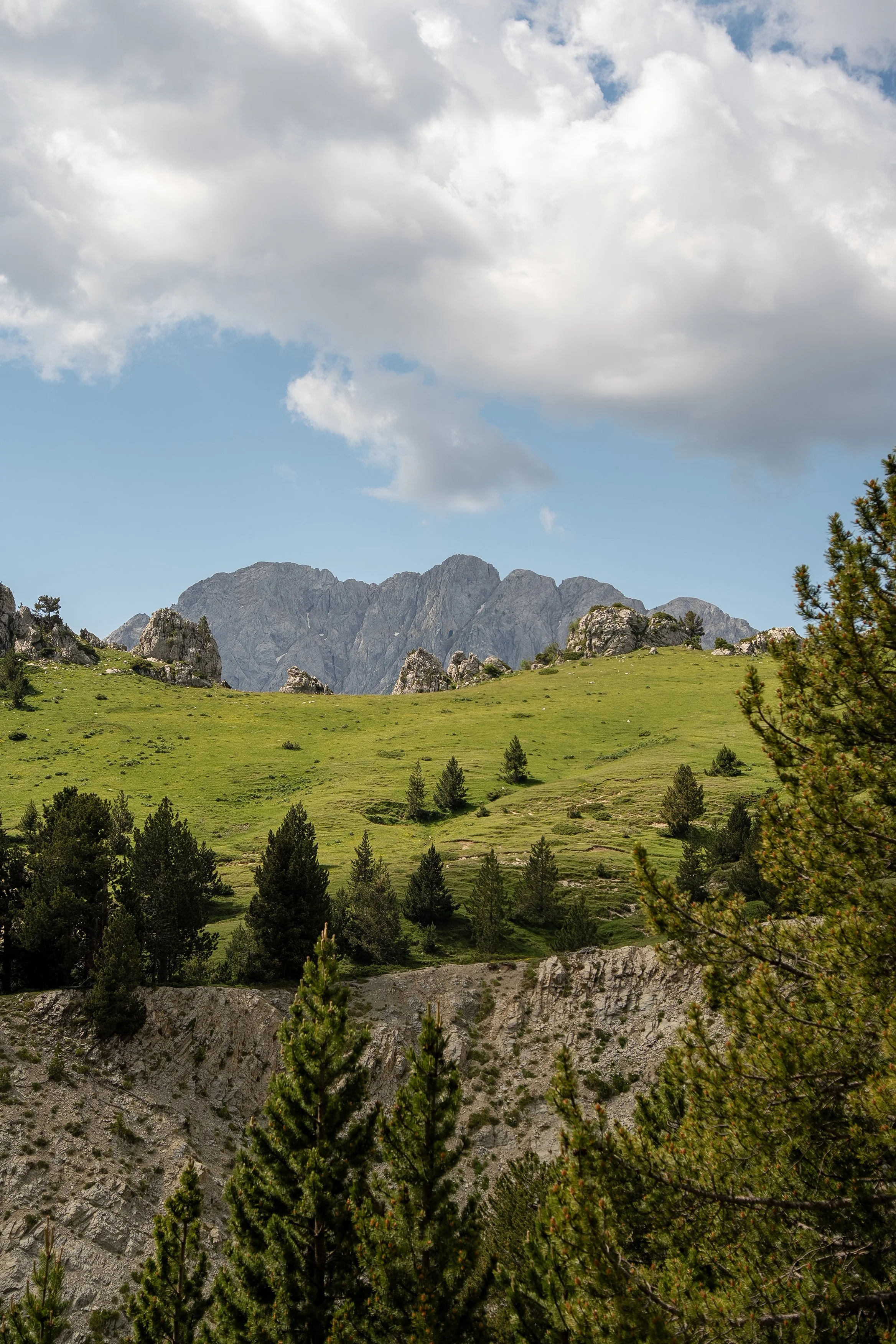 _A742578.jpg